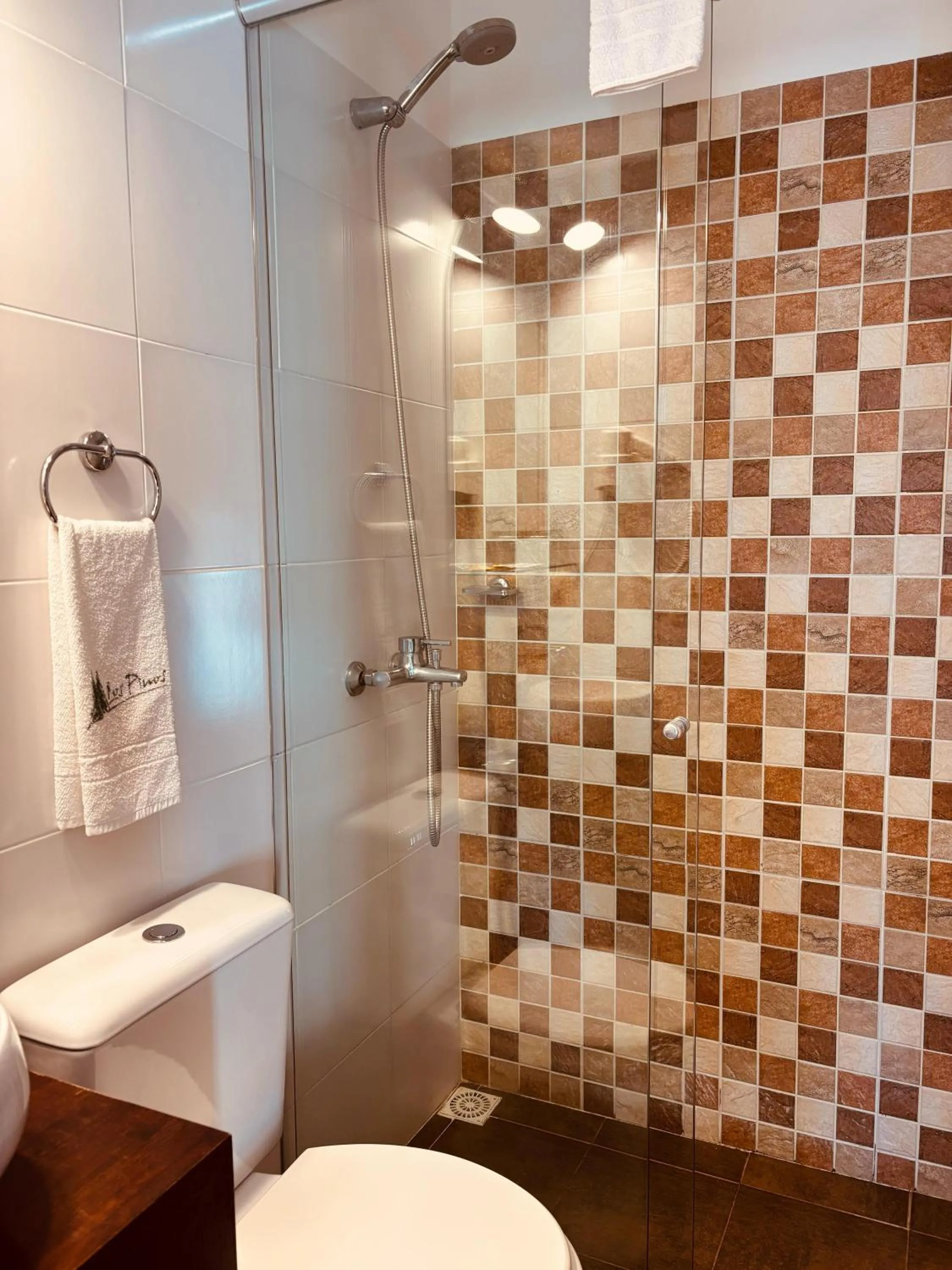 Shower in Posada Los Pinos