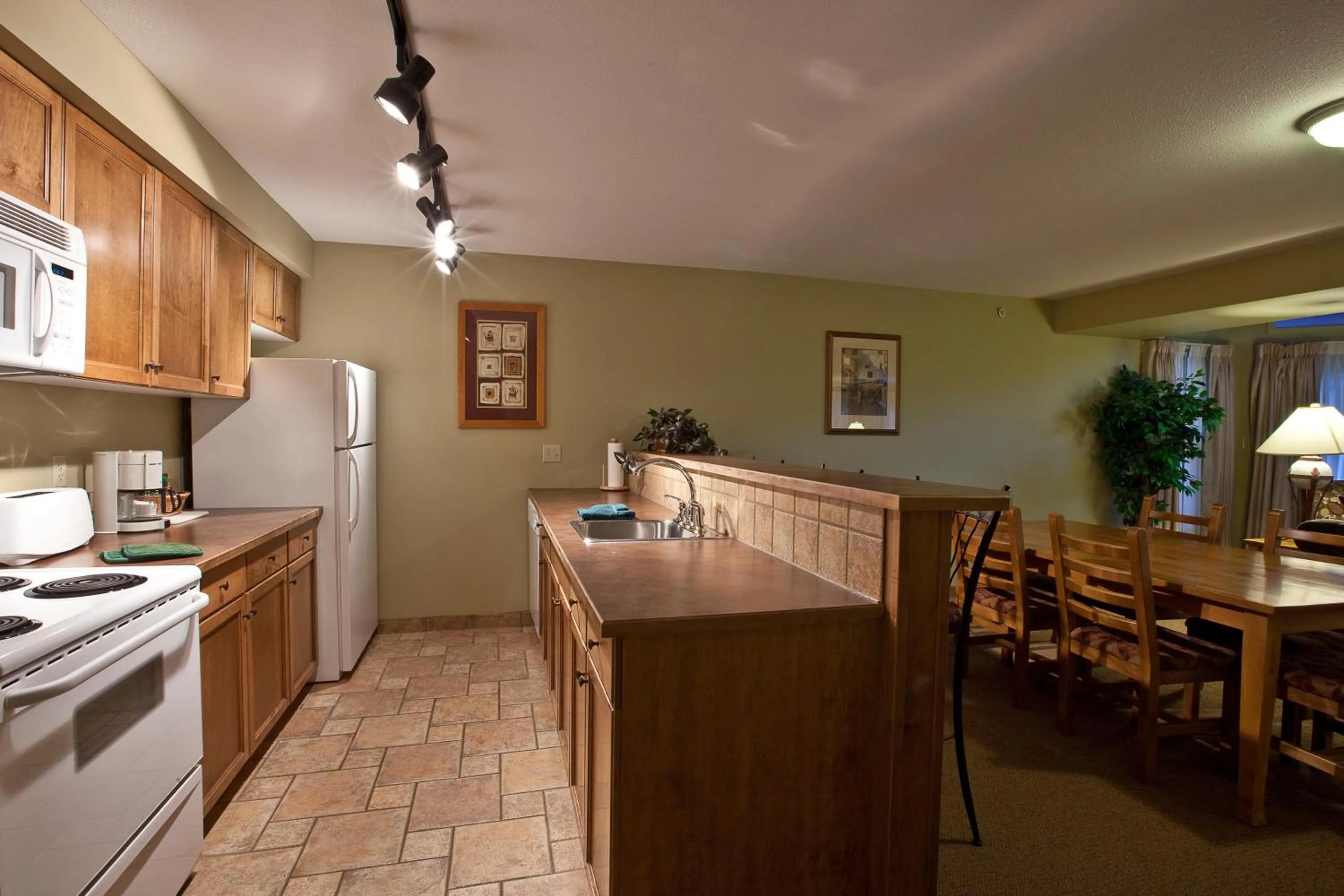 Kitchen or kitchenette in Polaris Lodge