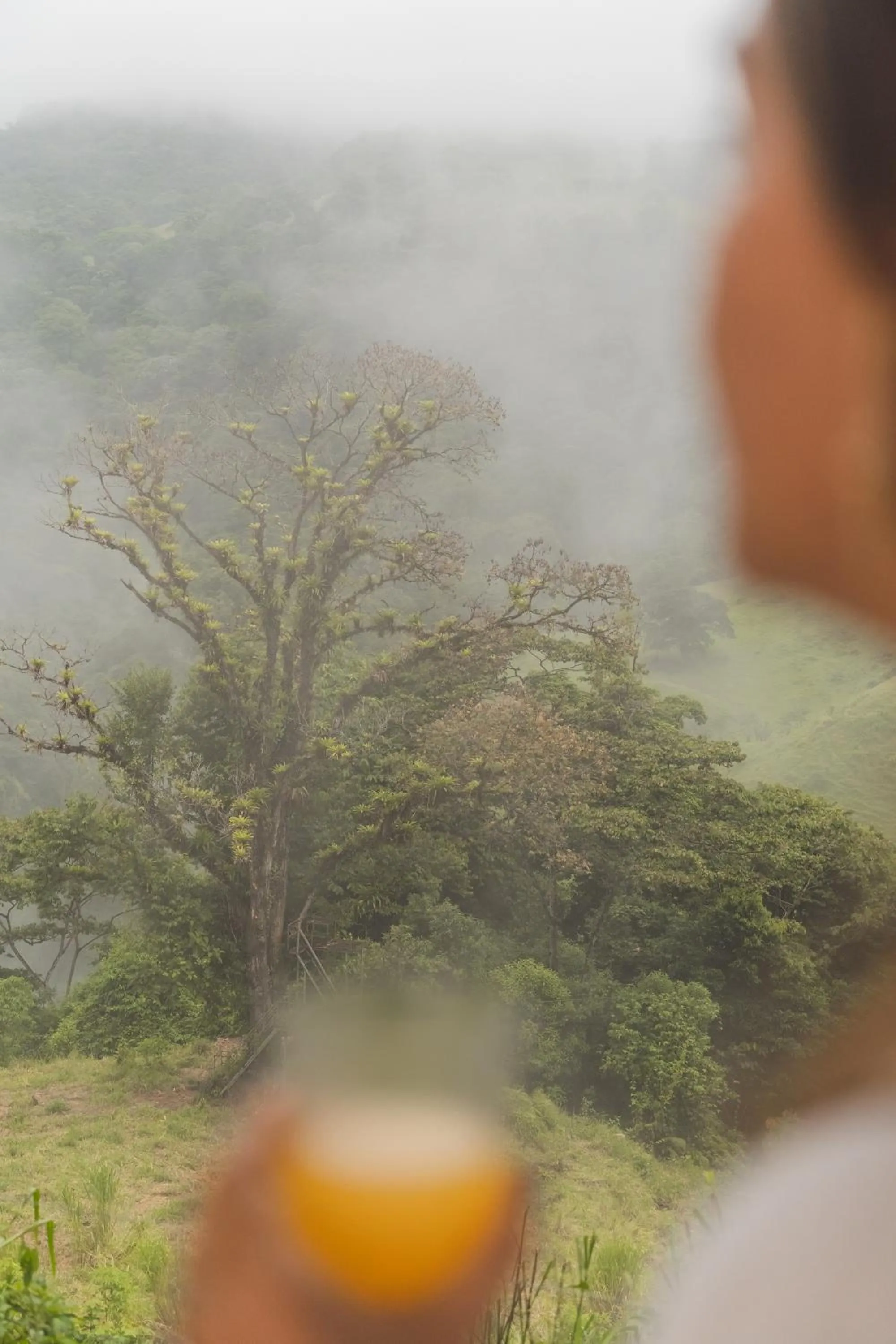 Photo of the whole room in Montaña de fuego Mountain Resort & Spa