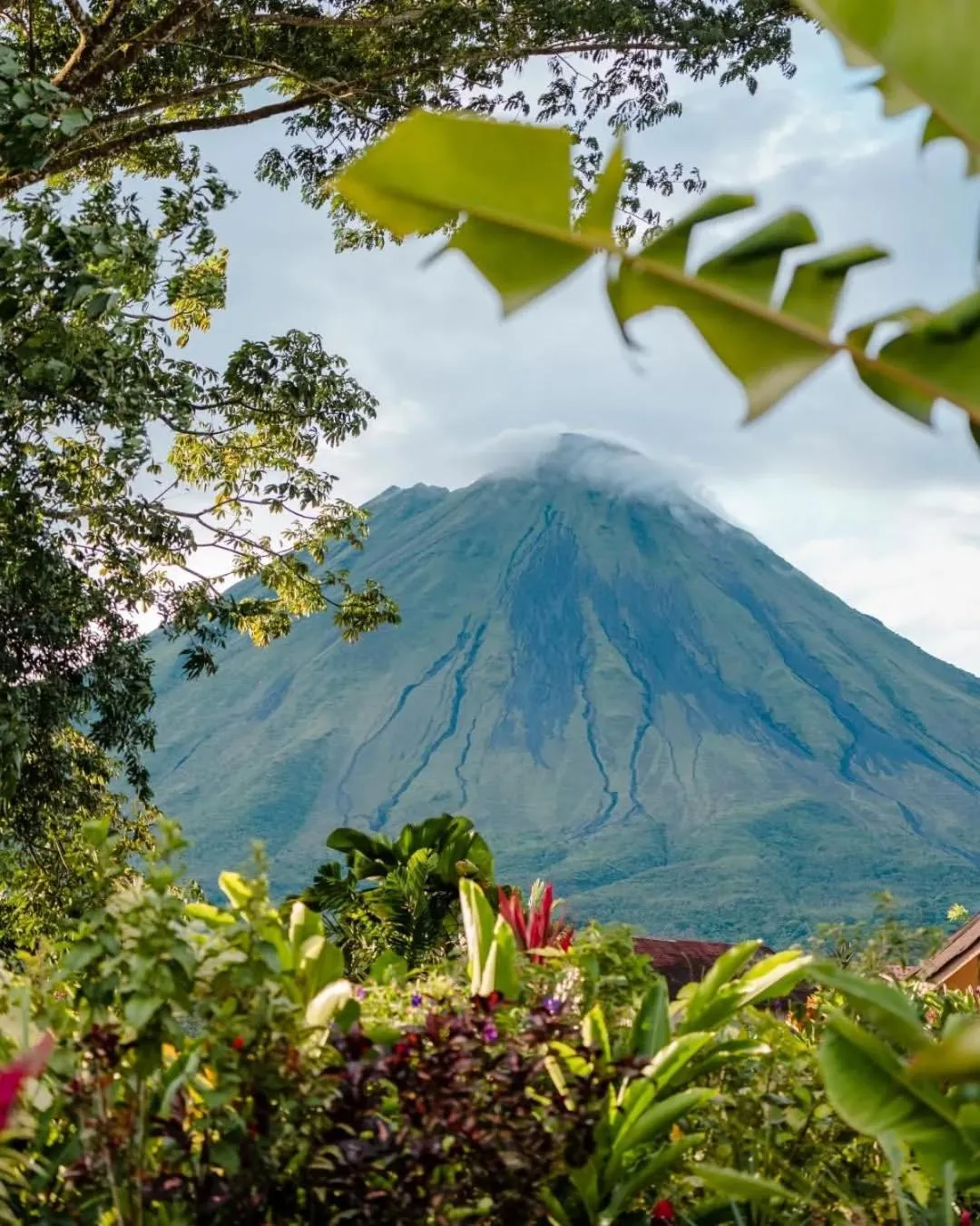Garden in Montaña de fuego Mountain Resort & Spa