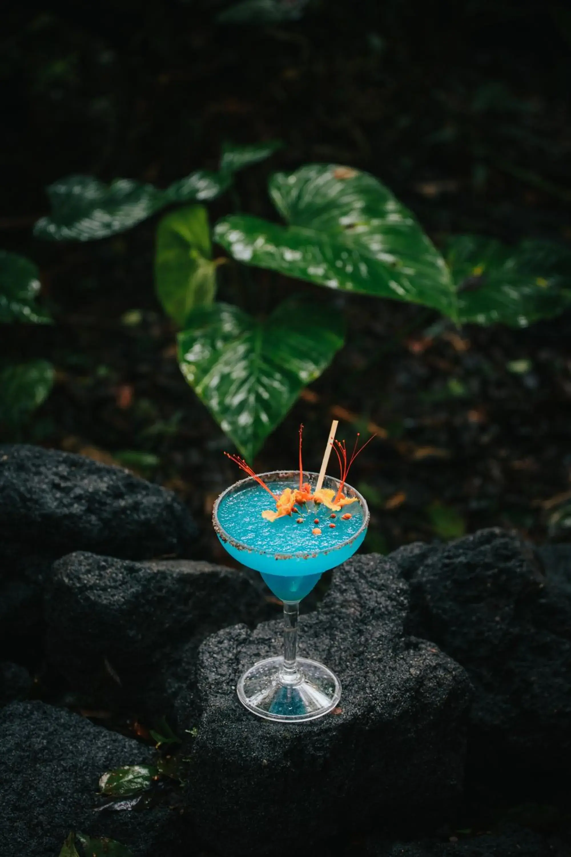 Restaurant/places to eat in Montaña de fuego Mountain Resort & Spa Restaurant/places to eat in Montaña de fuego Mountain Resort & Spa