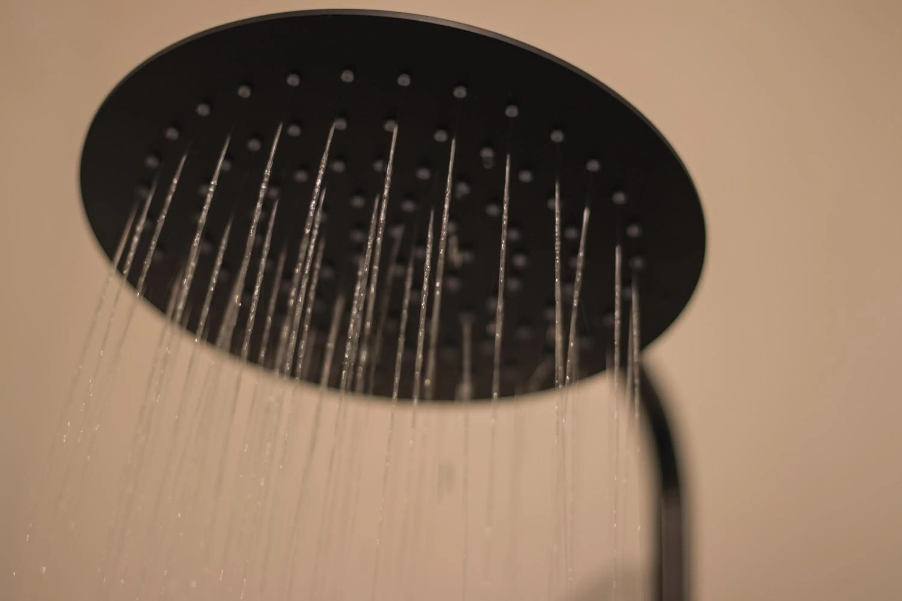 Cece Nove - Sotto l'Arco