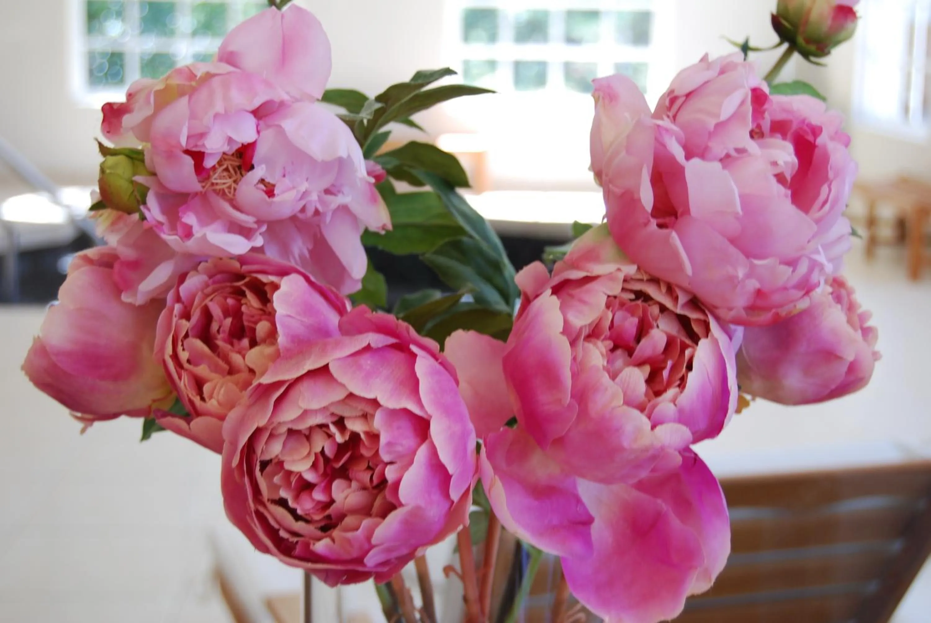 Decorative detail in Ardour Milton Park Bowral