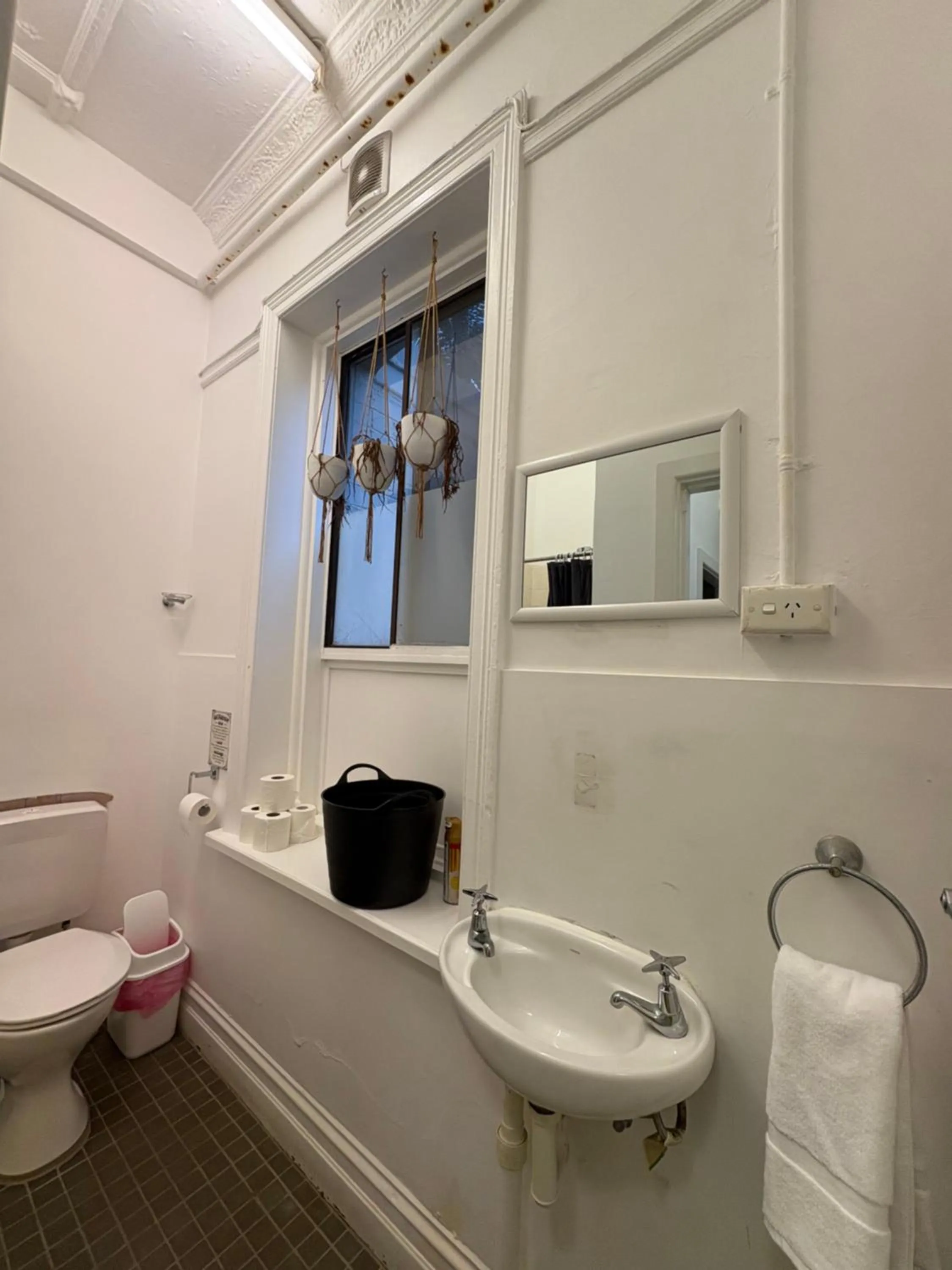 Toilet in Manly Beach Guesthouse