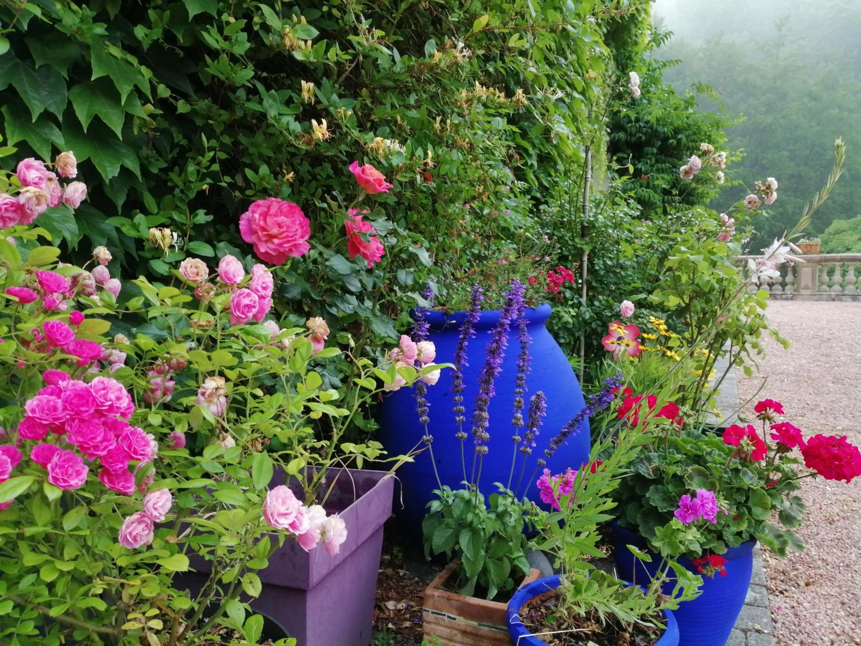 Garden in Domaine de La Brugere