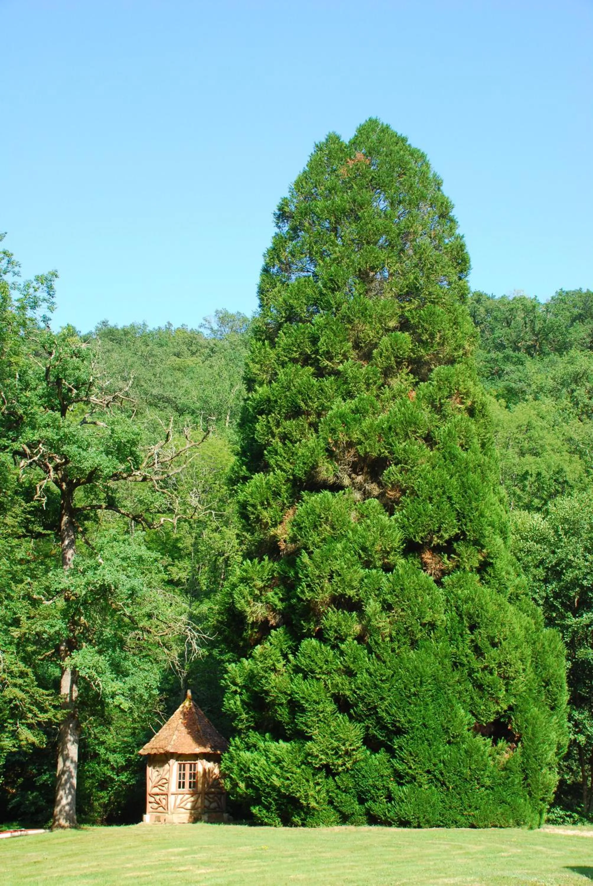 Garden in Domaine de La Brugere