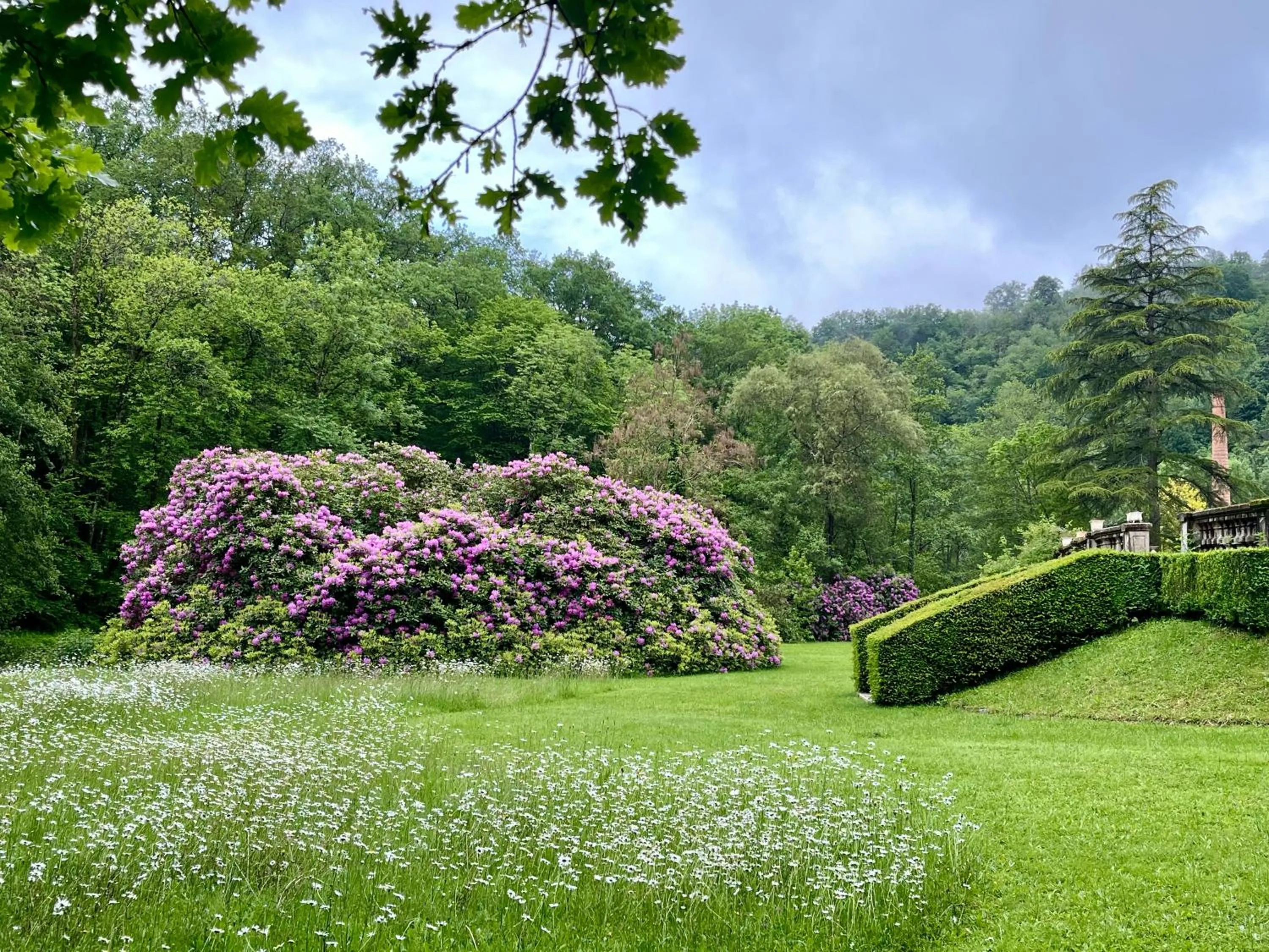 Garden in Domaine de La Brugere