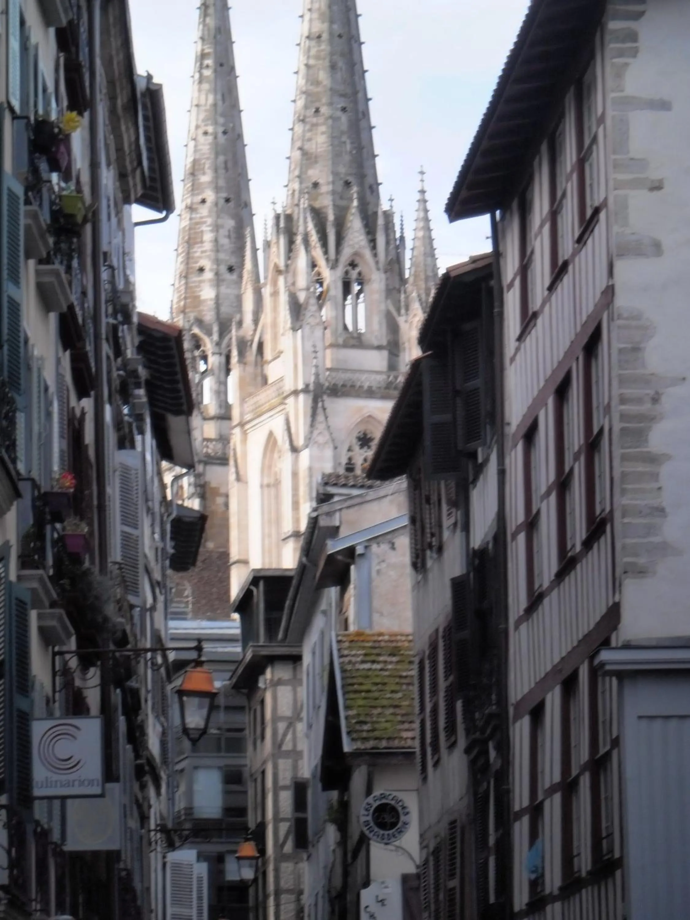 Nearby landmark in Hôtel des Arceaux