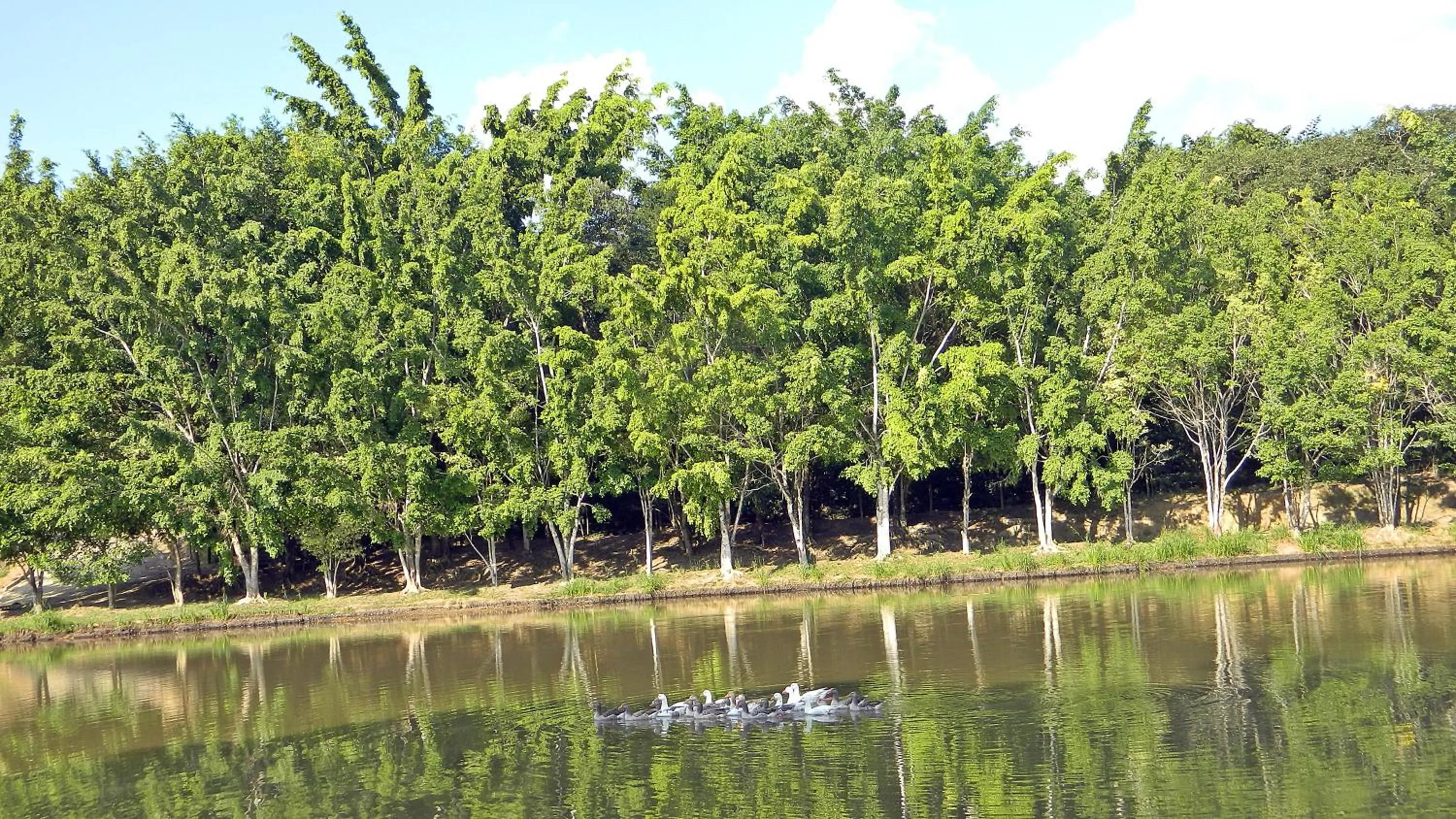 Natural landscape in Hotel Fazenda Ararita