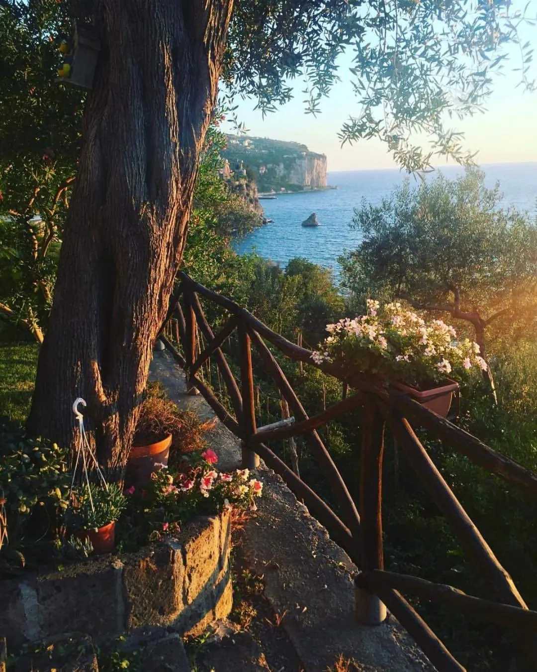 Sea view in La Palombara B&B