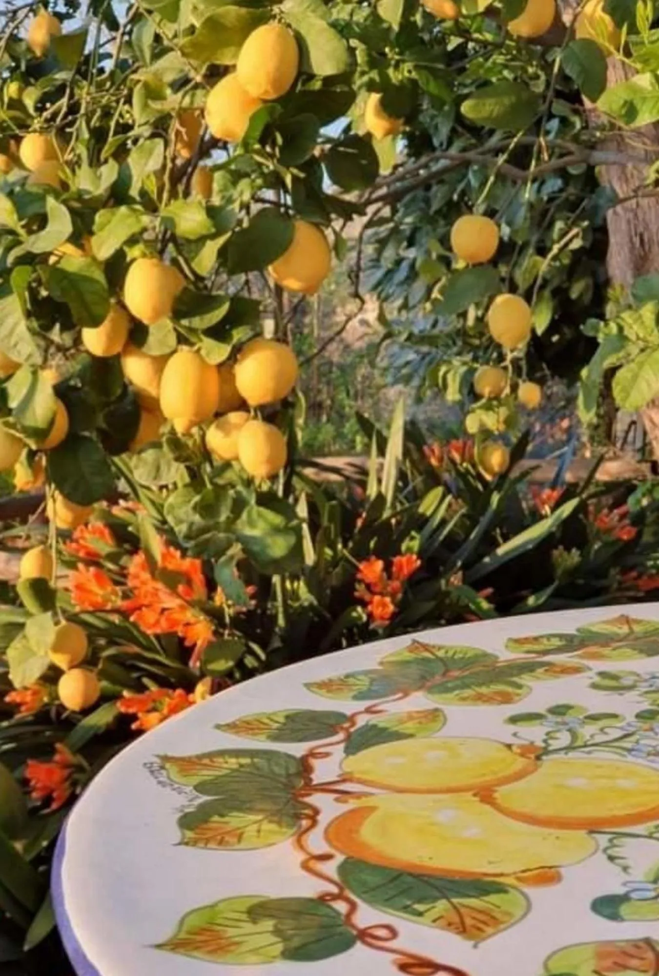 Garden in La Palombara B&B