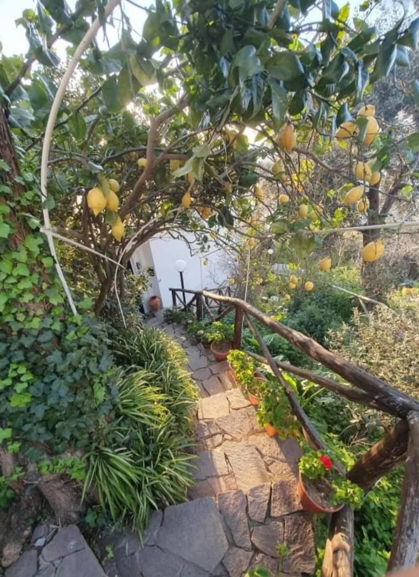 Garden in La Palombara B&B