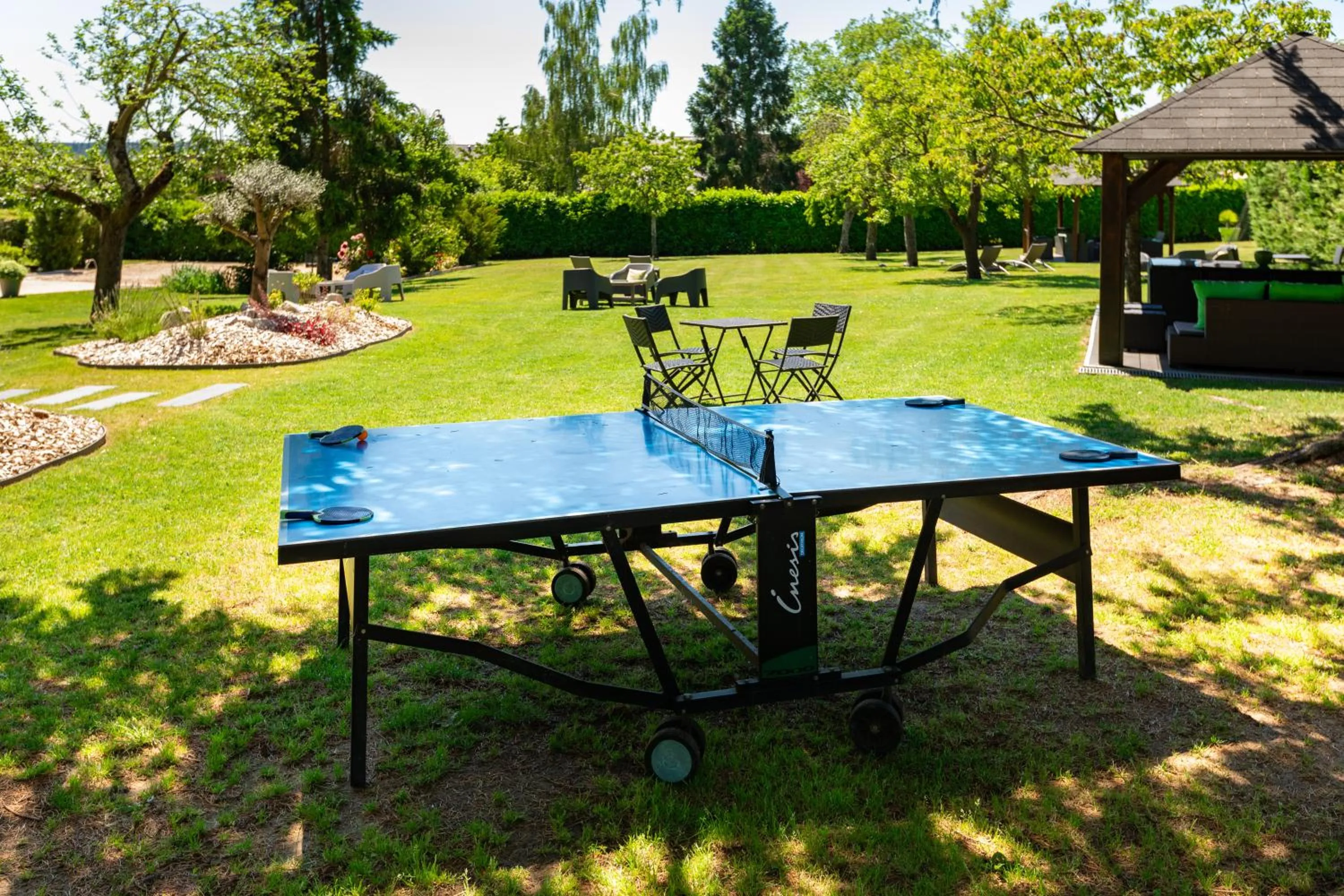 Table tennis in Hotel De La Pommeraie