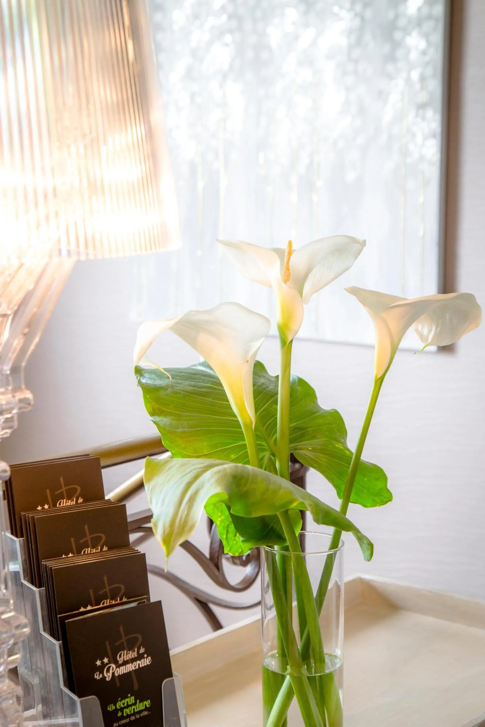 Lobby or reception in Hotel De La Pommeraie