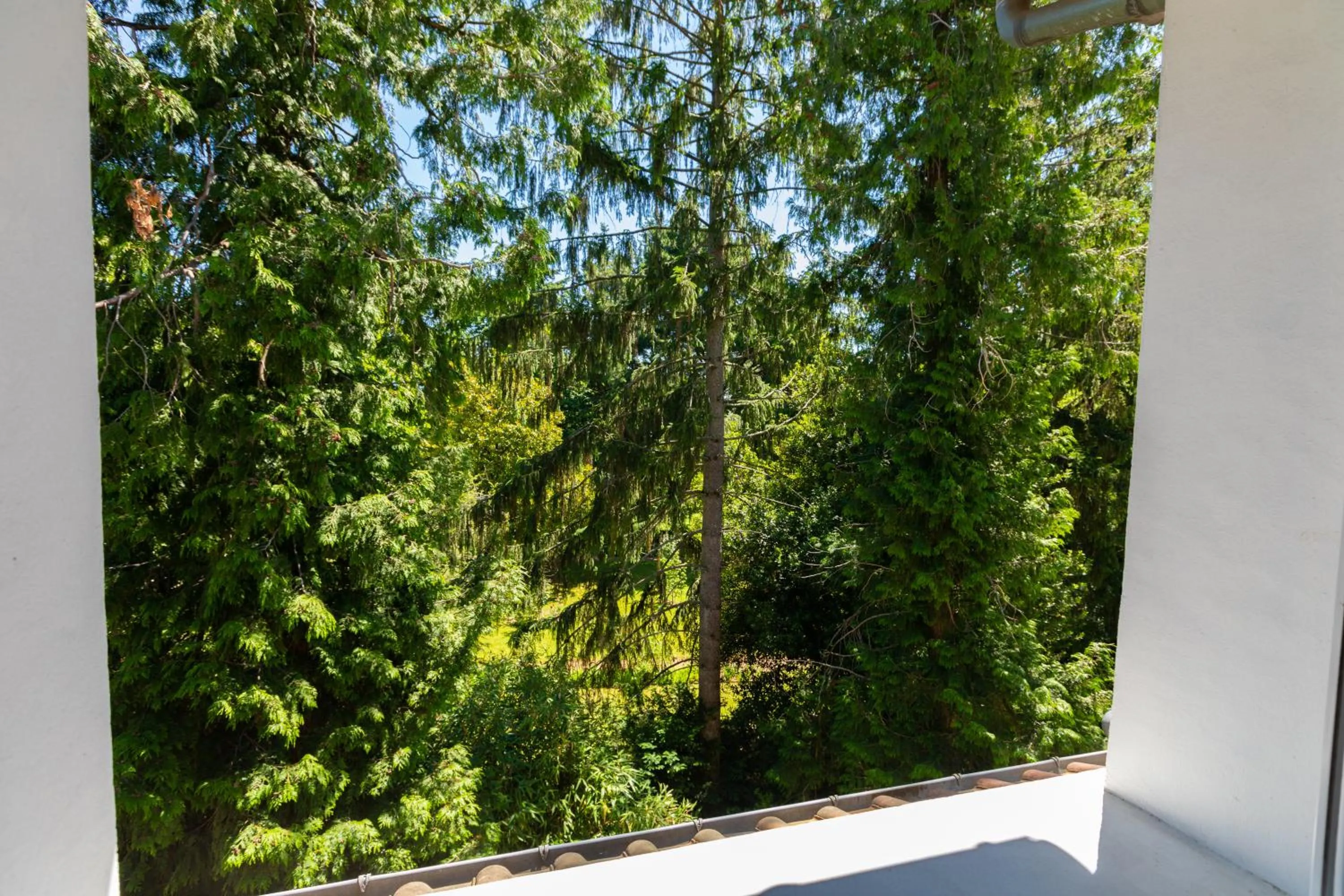 Garden view in Hotel De La Pommeraie