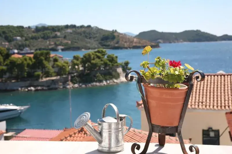 Standard Τwin Room with Sea View in Hotel Mato Standard Τwin Room with Sea View in Hotel Mato