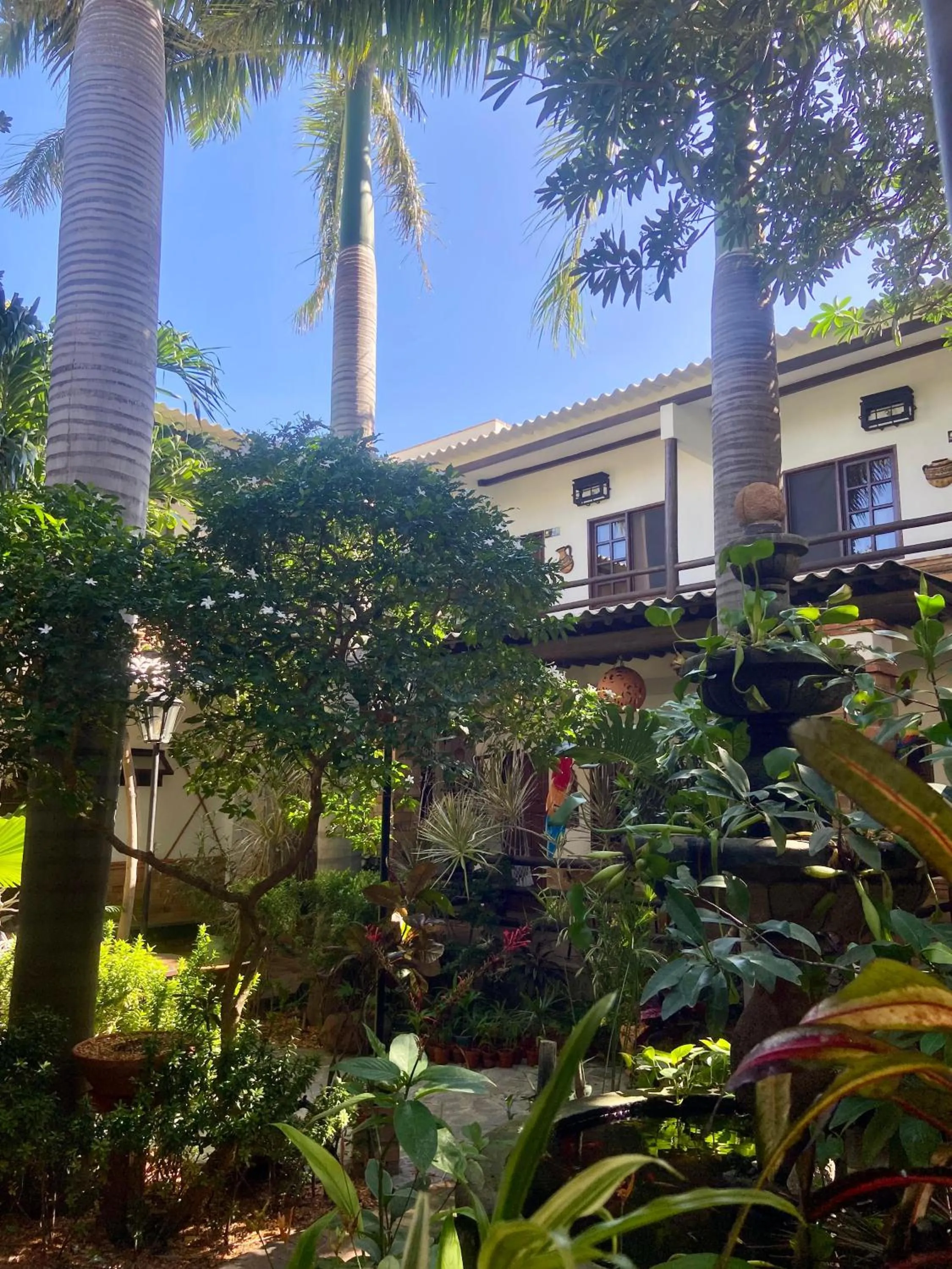 Garden in Camali Hotel