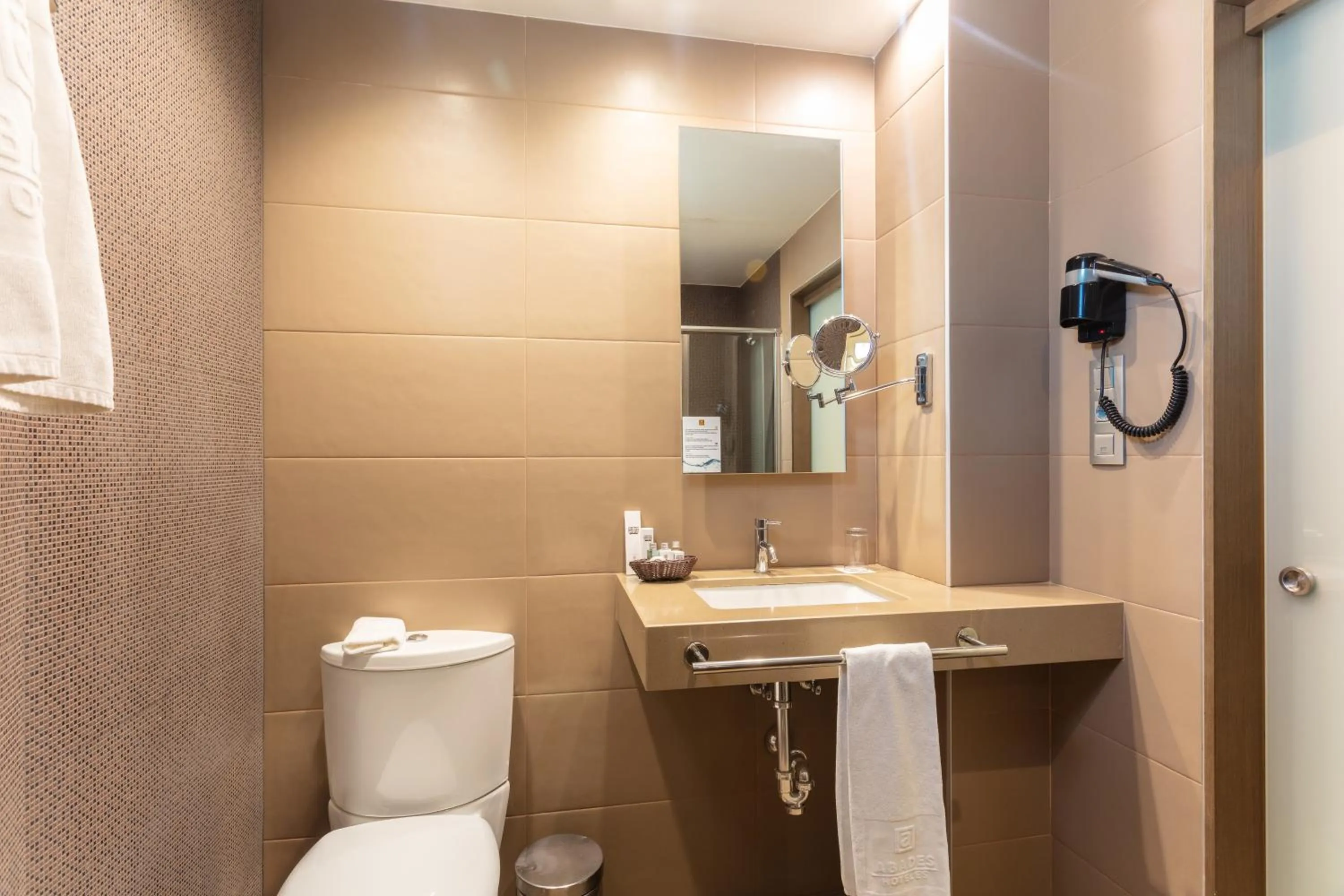 Toilet in Hotel Abades Recogidas