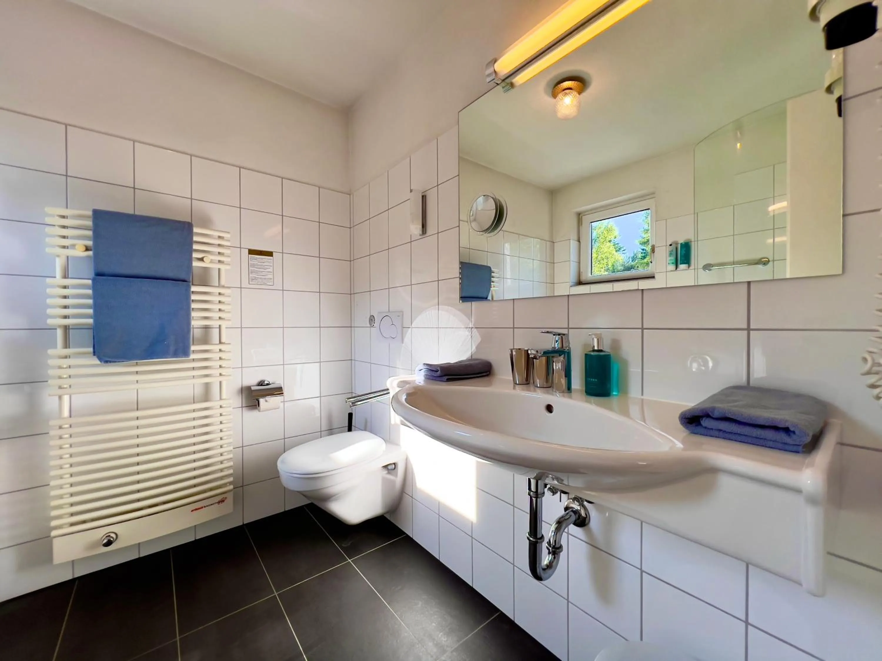 Bathroom in Hotel Berghof