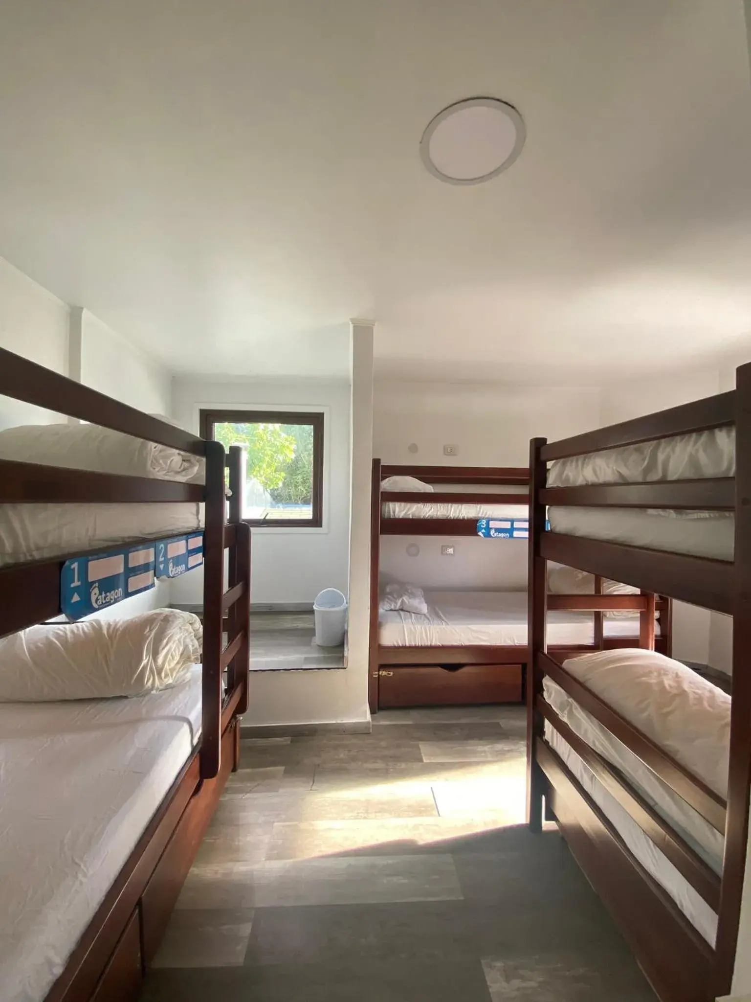 Bed in 6-Bed Dormitory Room in Patagon Backpackers Bed in 6-Bed Dormitory Room in Patagon Backpackers