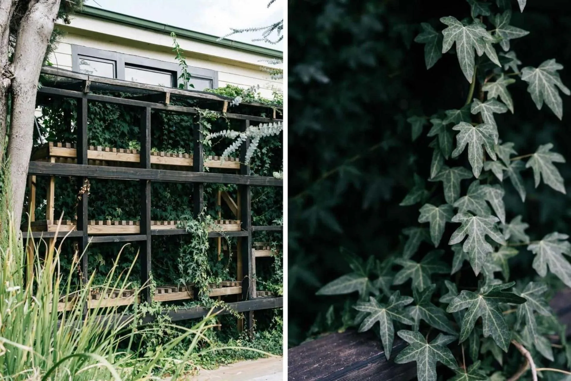 The Oxford - Hepburn Springs Daylesford