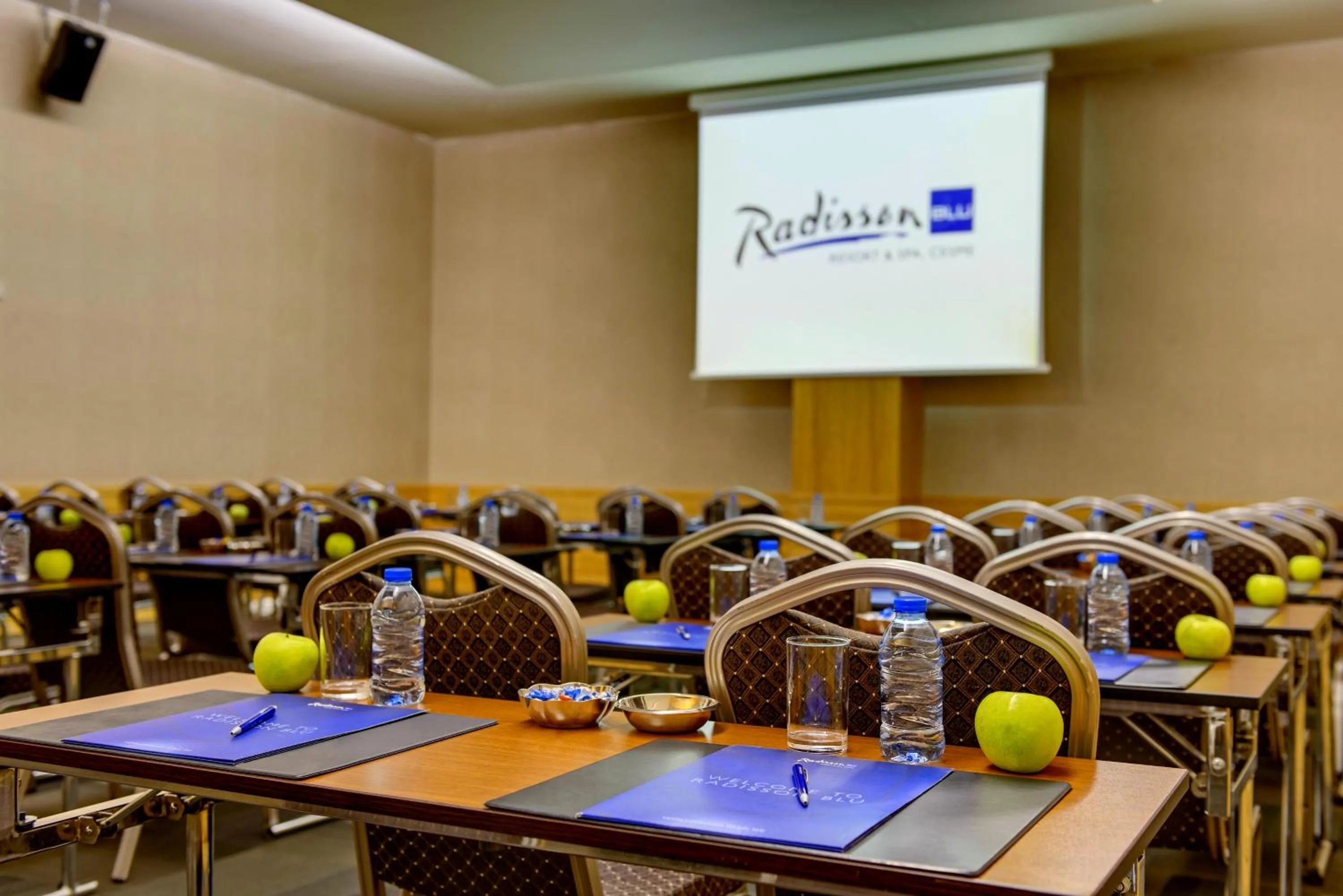 Business facilities in Radisson Blu Resort & Spa Cesme
