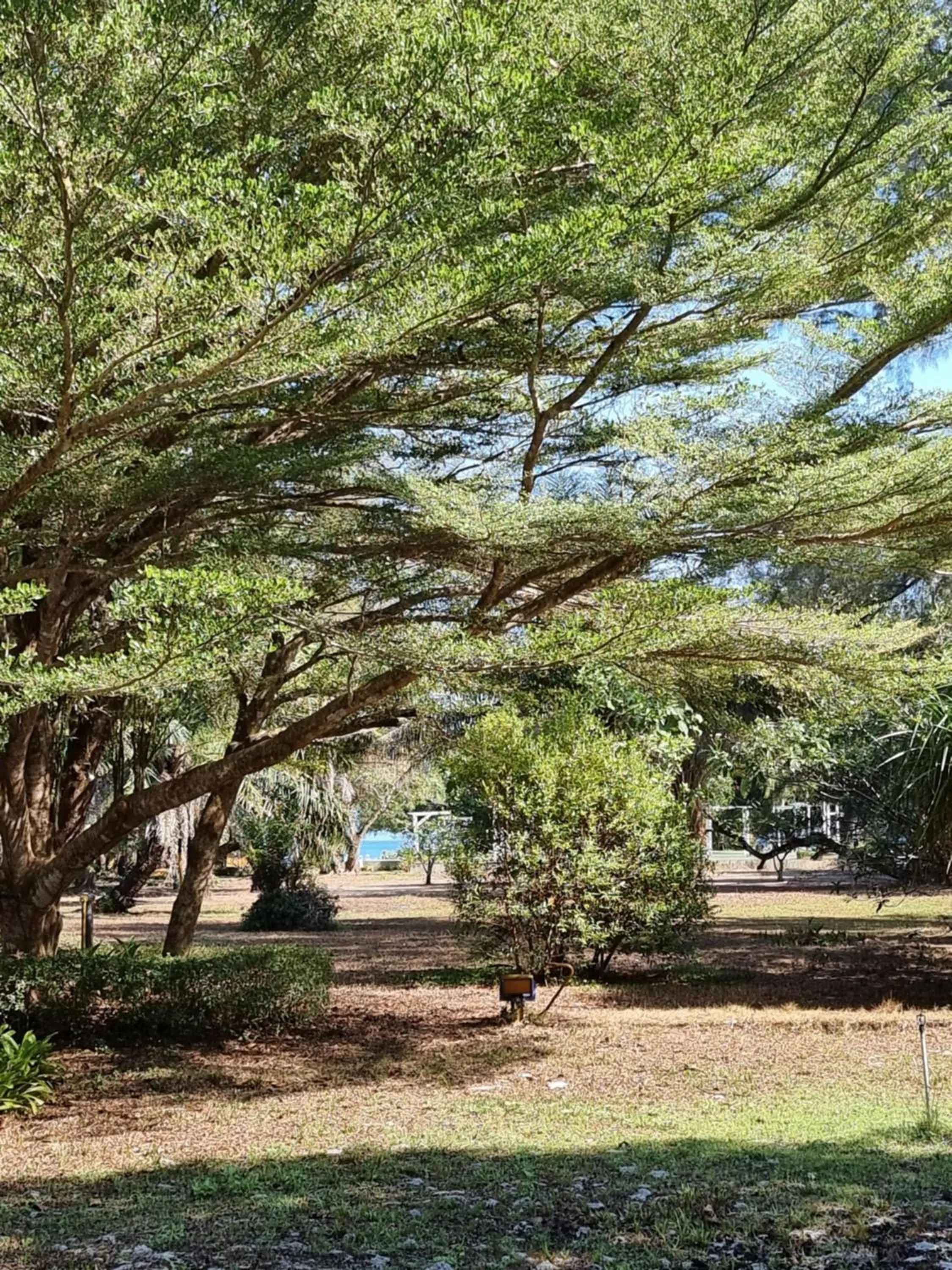 Phayam Cottage Resort