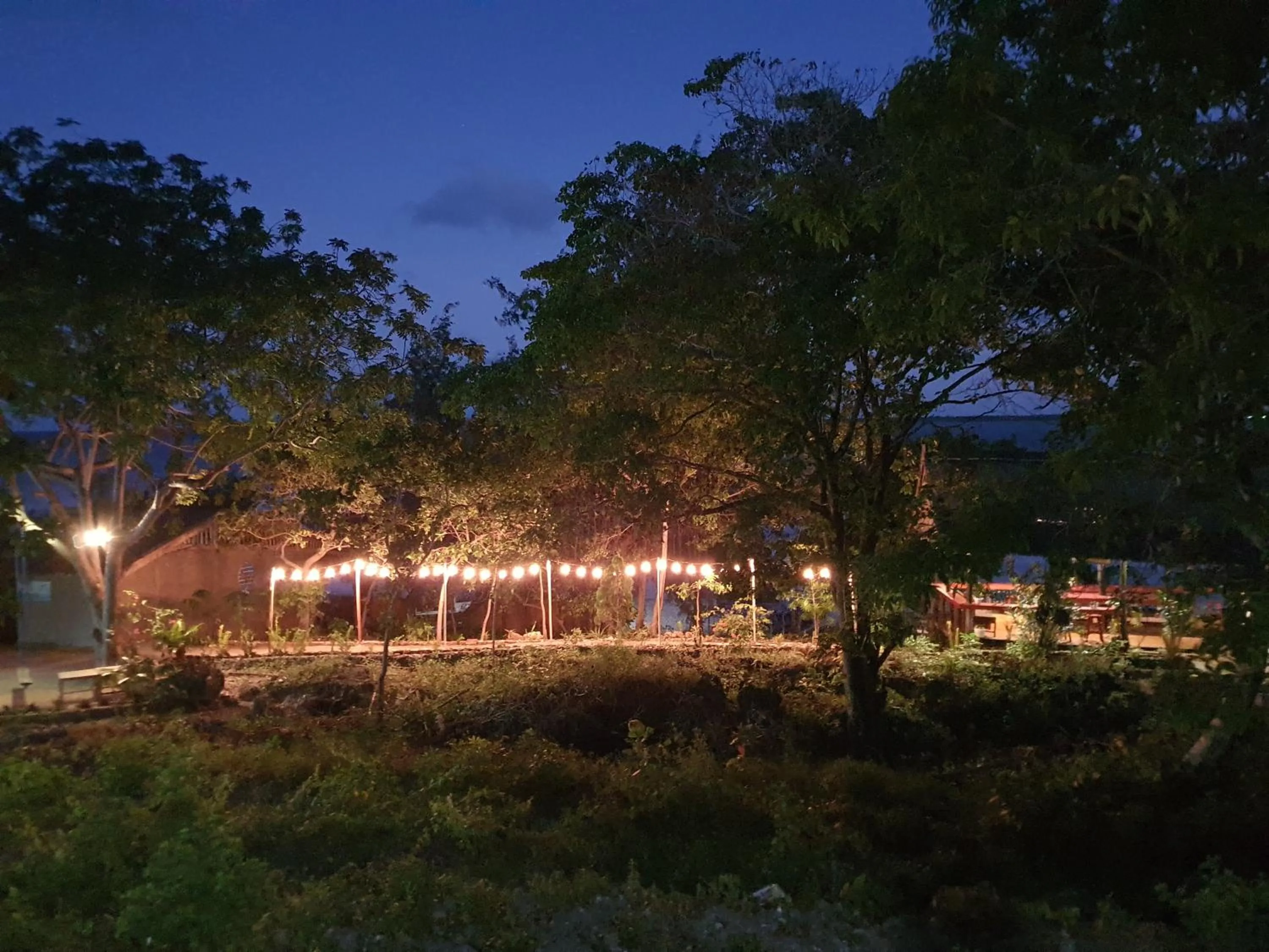 Garden in Scuba Republic Beach Bungalows
