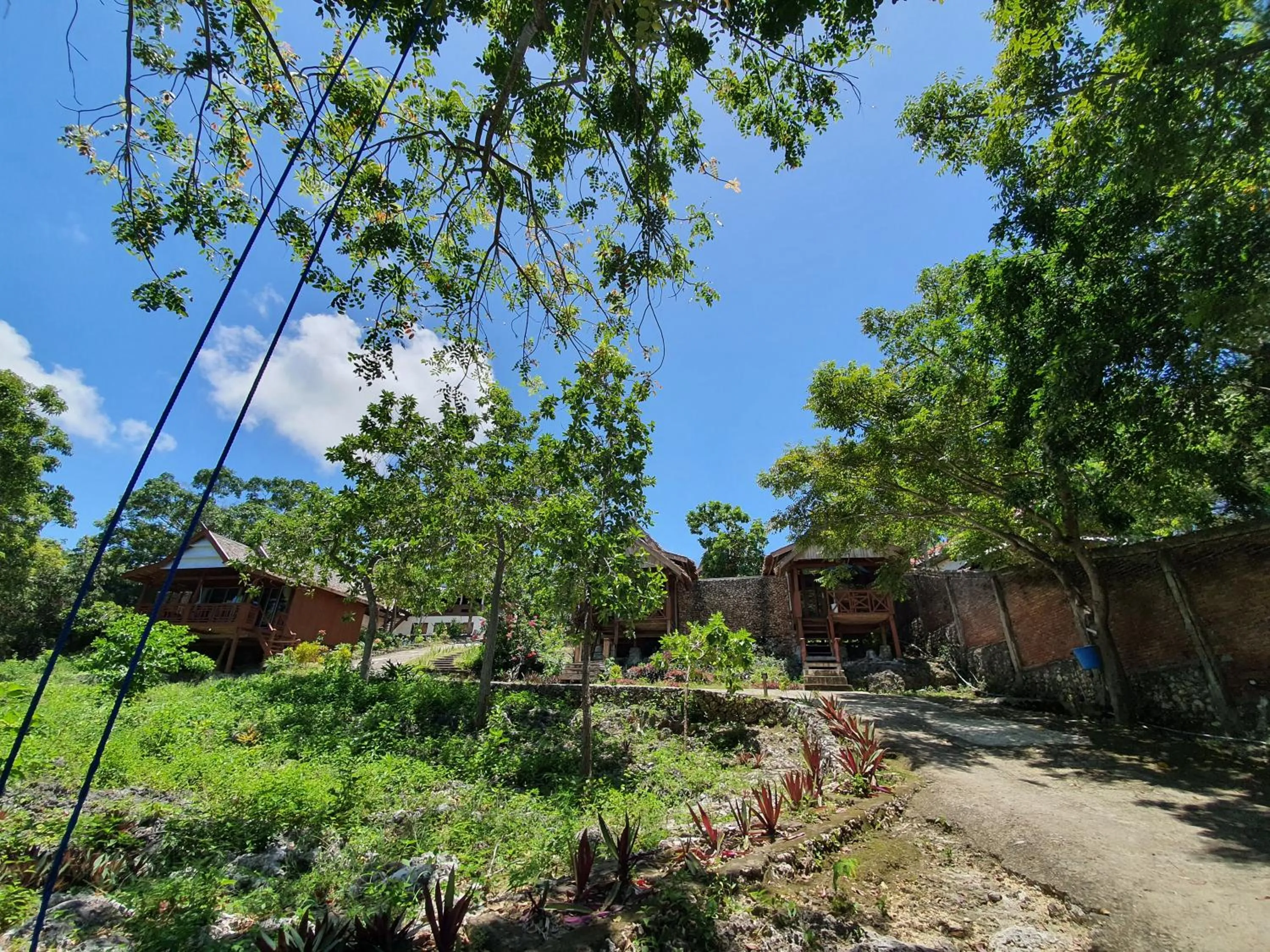 Garden view in Scuba Republic Beach Bungalows