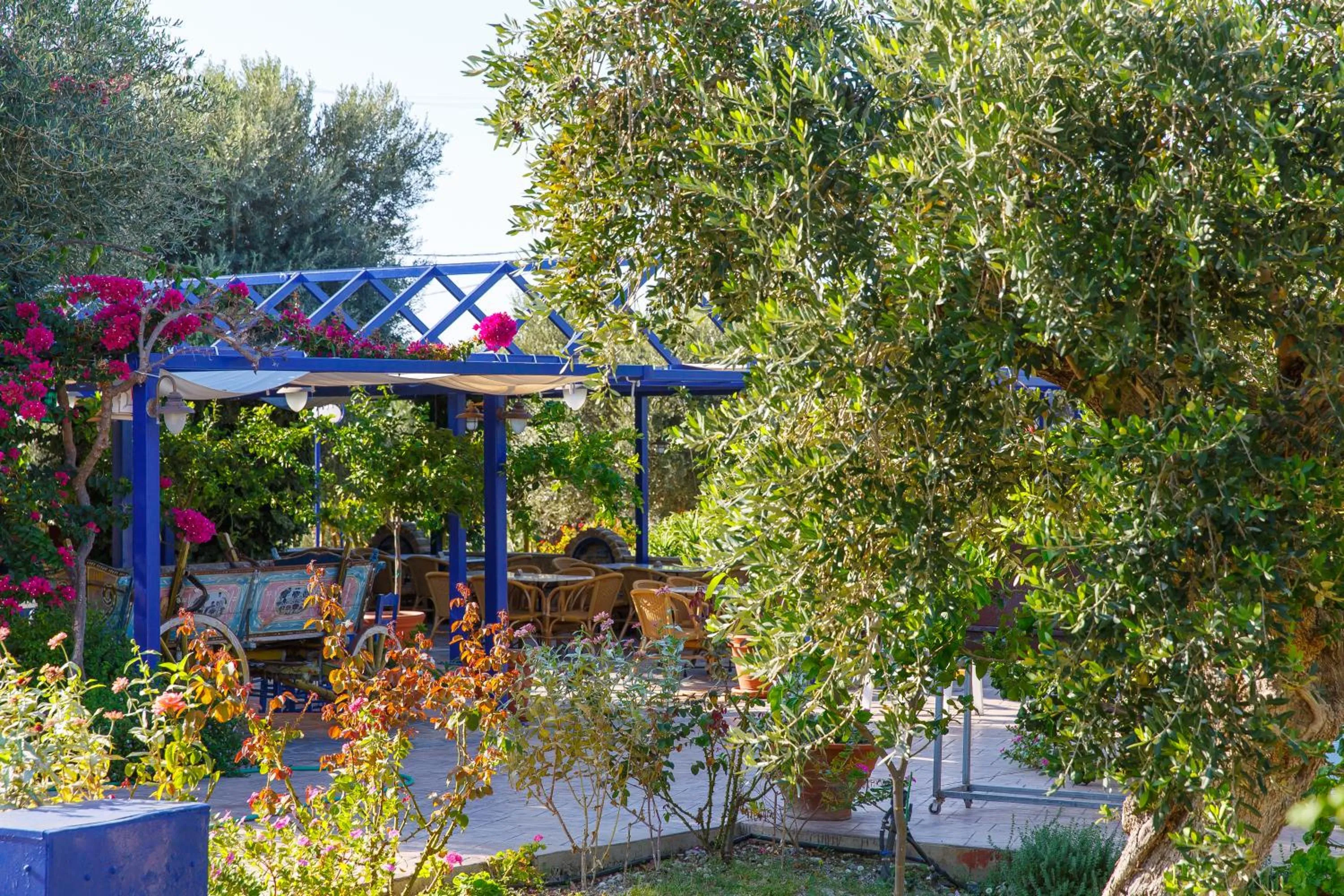 Garden in Filoxenia Apartments & Studios