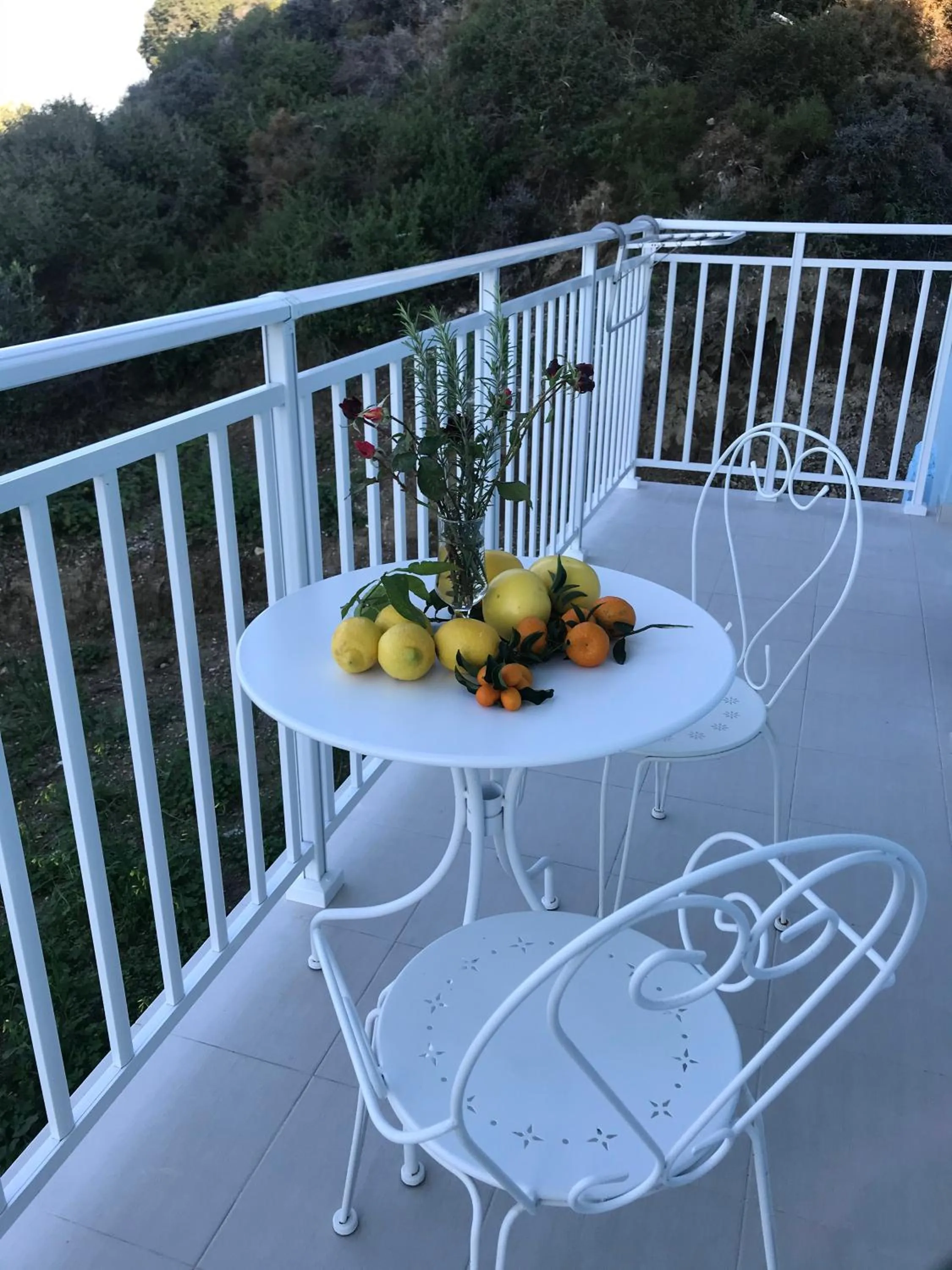 Balcony/Terrace in Filoxenia Apartments & Studios