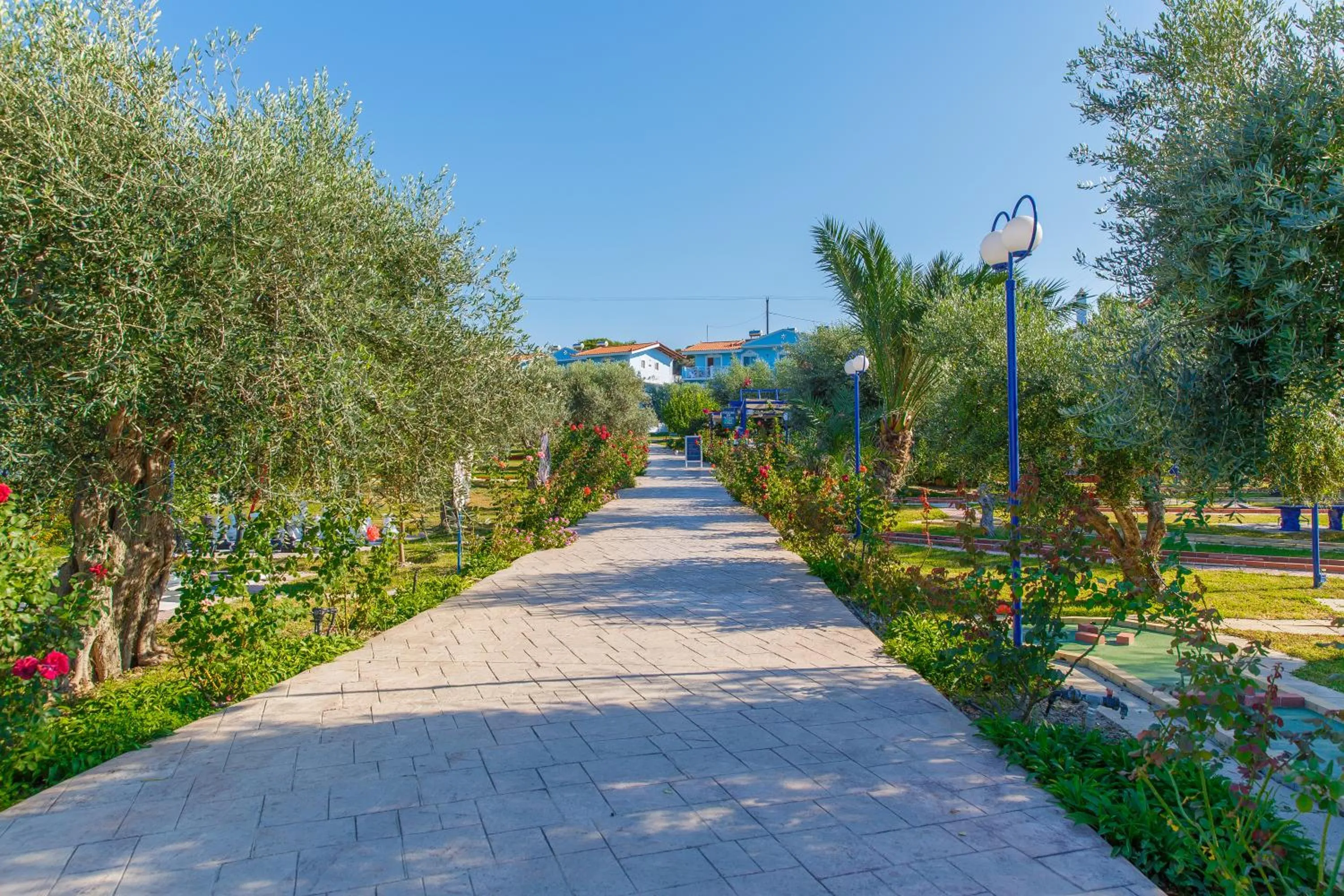 Garden in Filoxenia Apartments & Studios