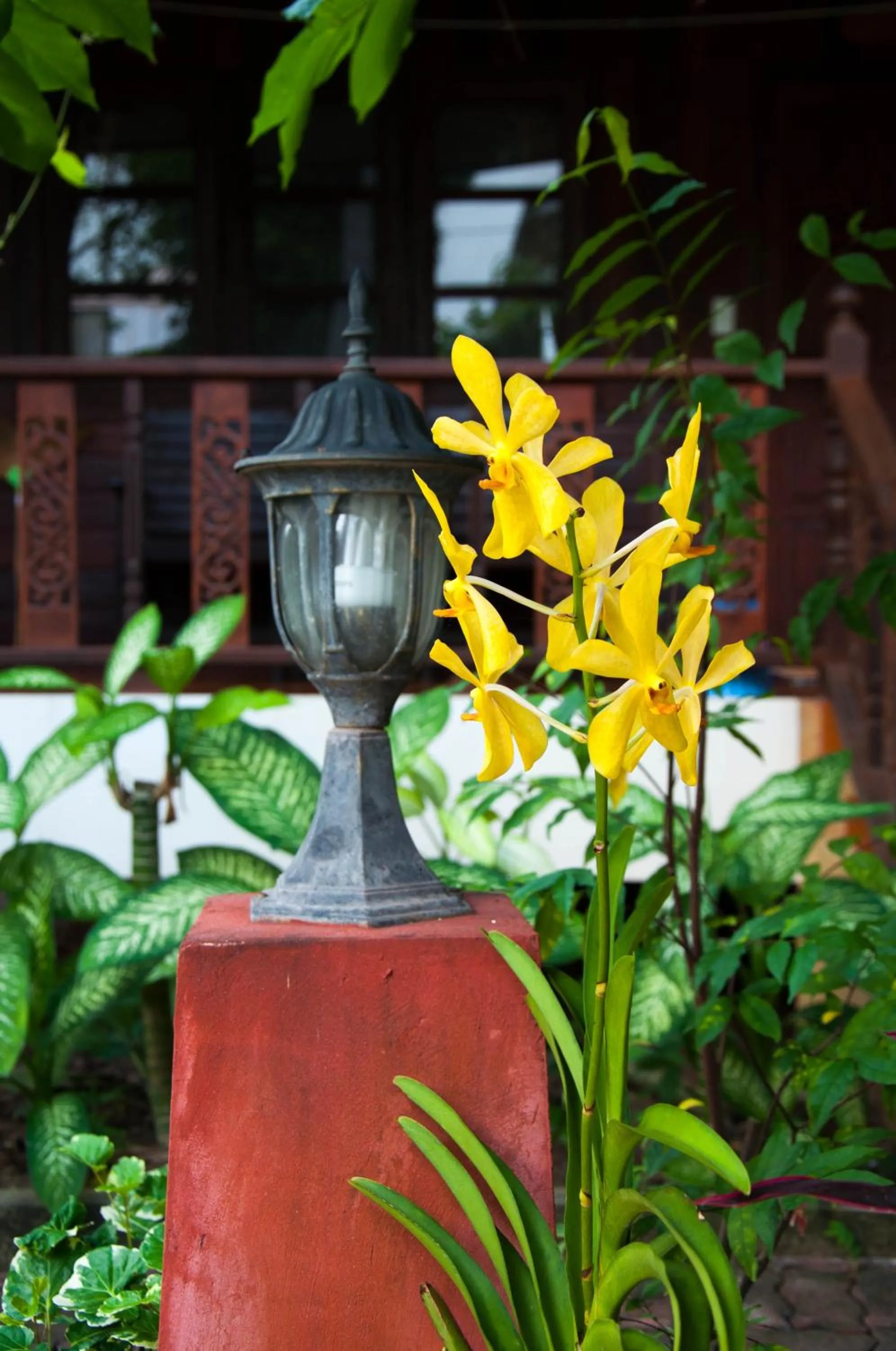 Garden in Mira Mare Resort Koh Samui