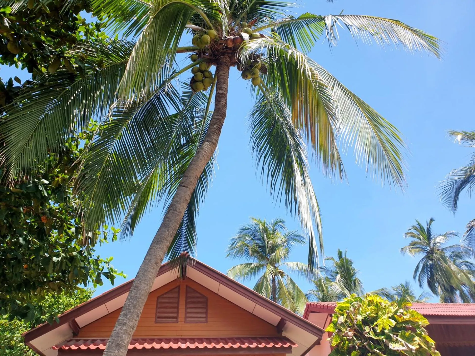 Mira Mare Resort Koh Samui