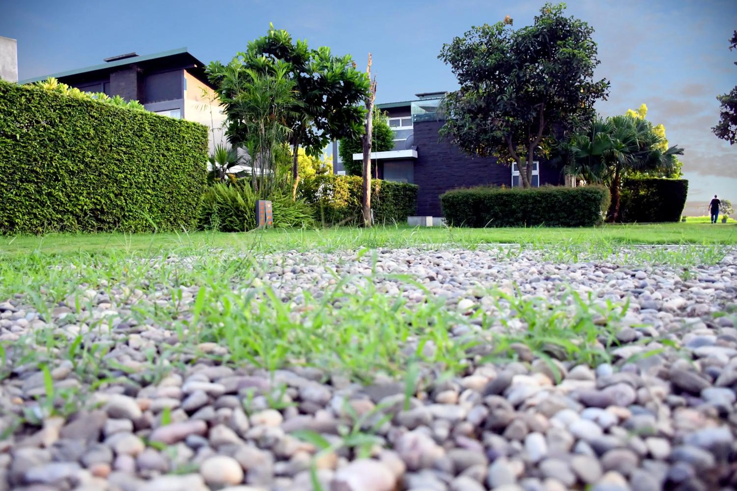 Garden in Amatra By The Ganges