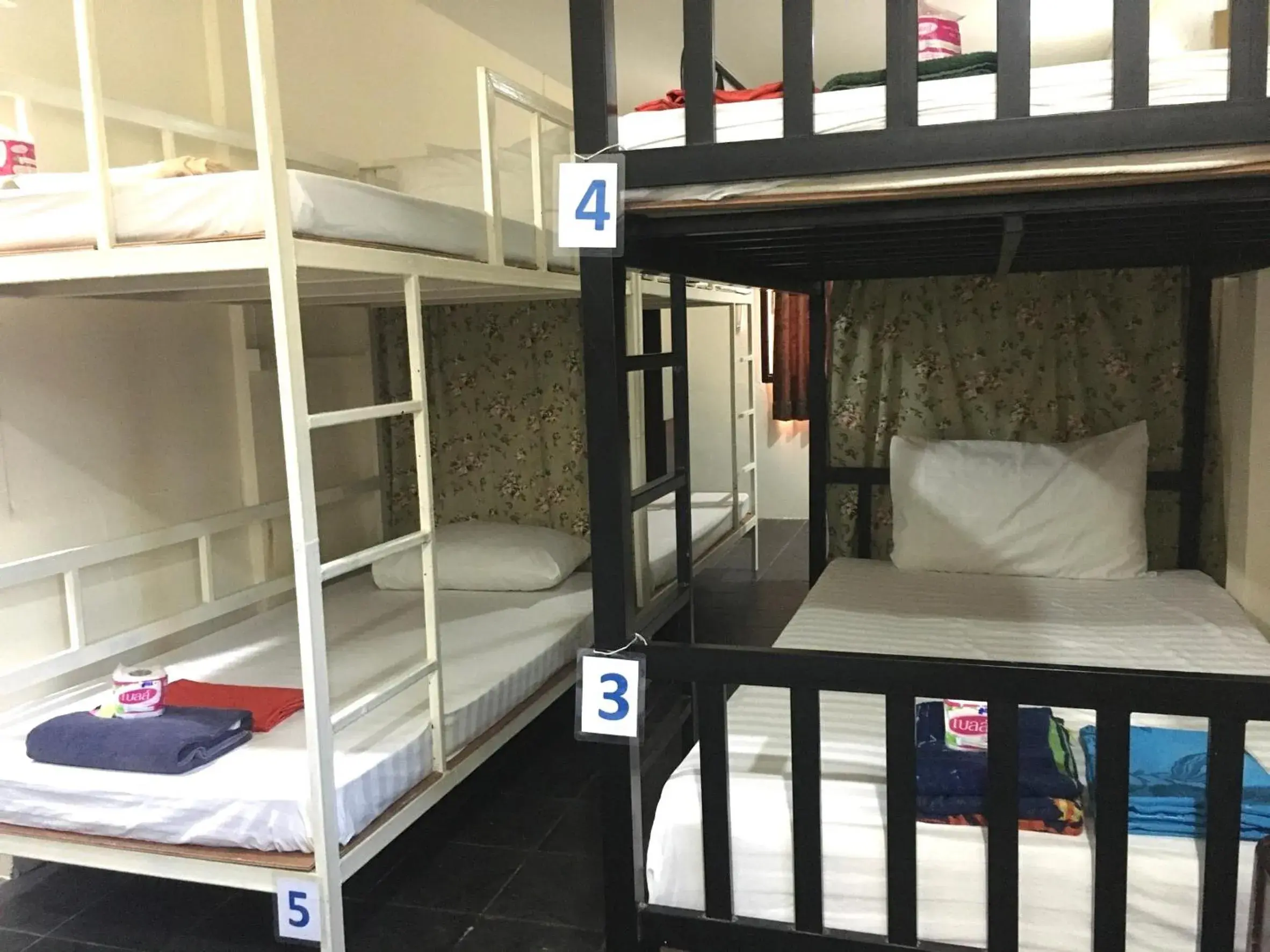 bunk bed, Bed in Golden Bee PhiPhi bunk bed, Bed in Golden Bee PhiPhi