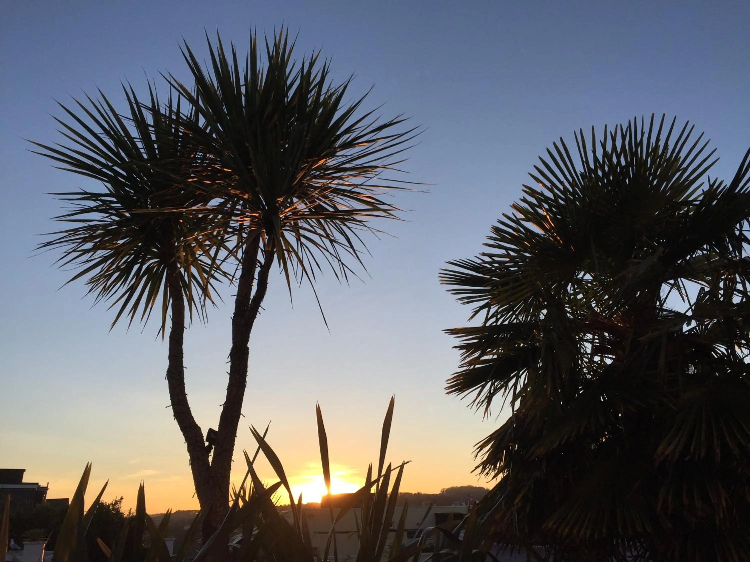 Sunset in The Cimon