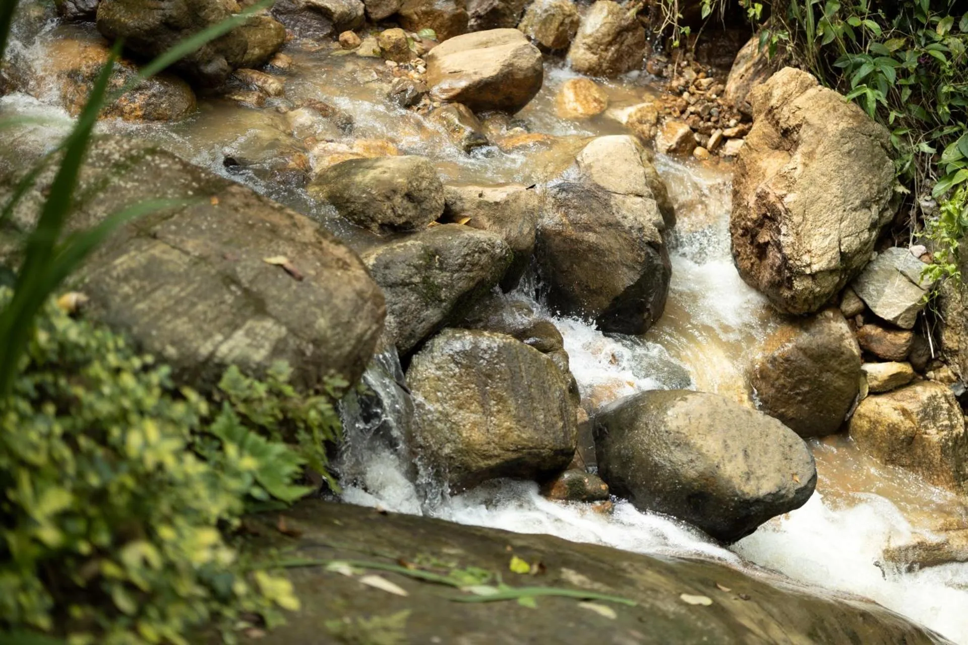 Natural landscape in Arsulana Eco Lodge & Spa