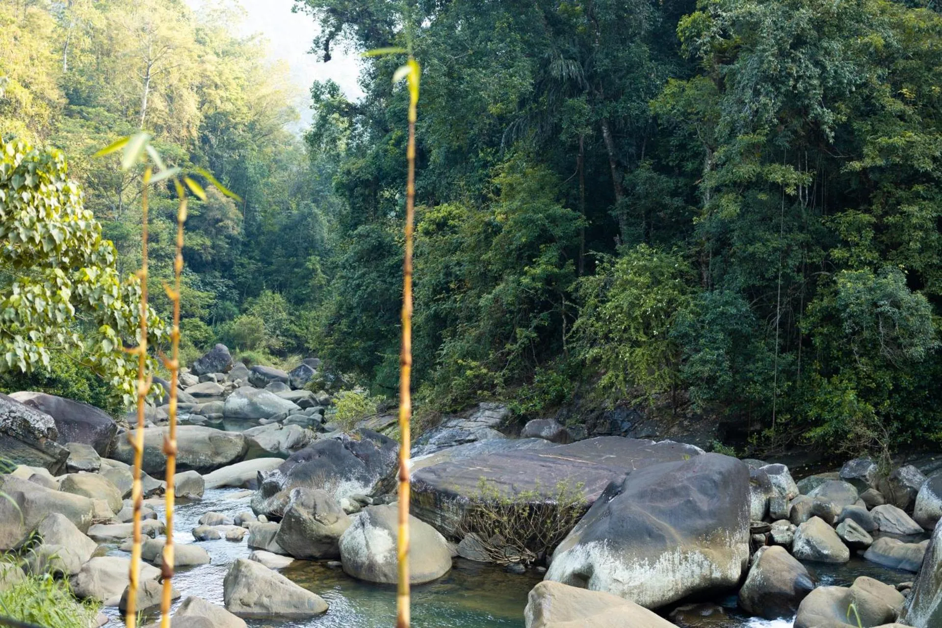 Natural landscape in Arsulana Eco Lodge & Spa