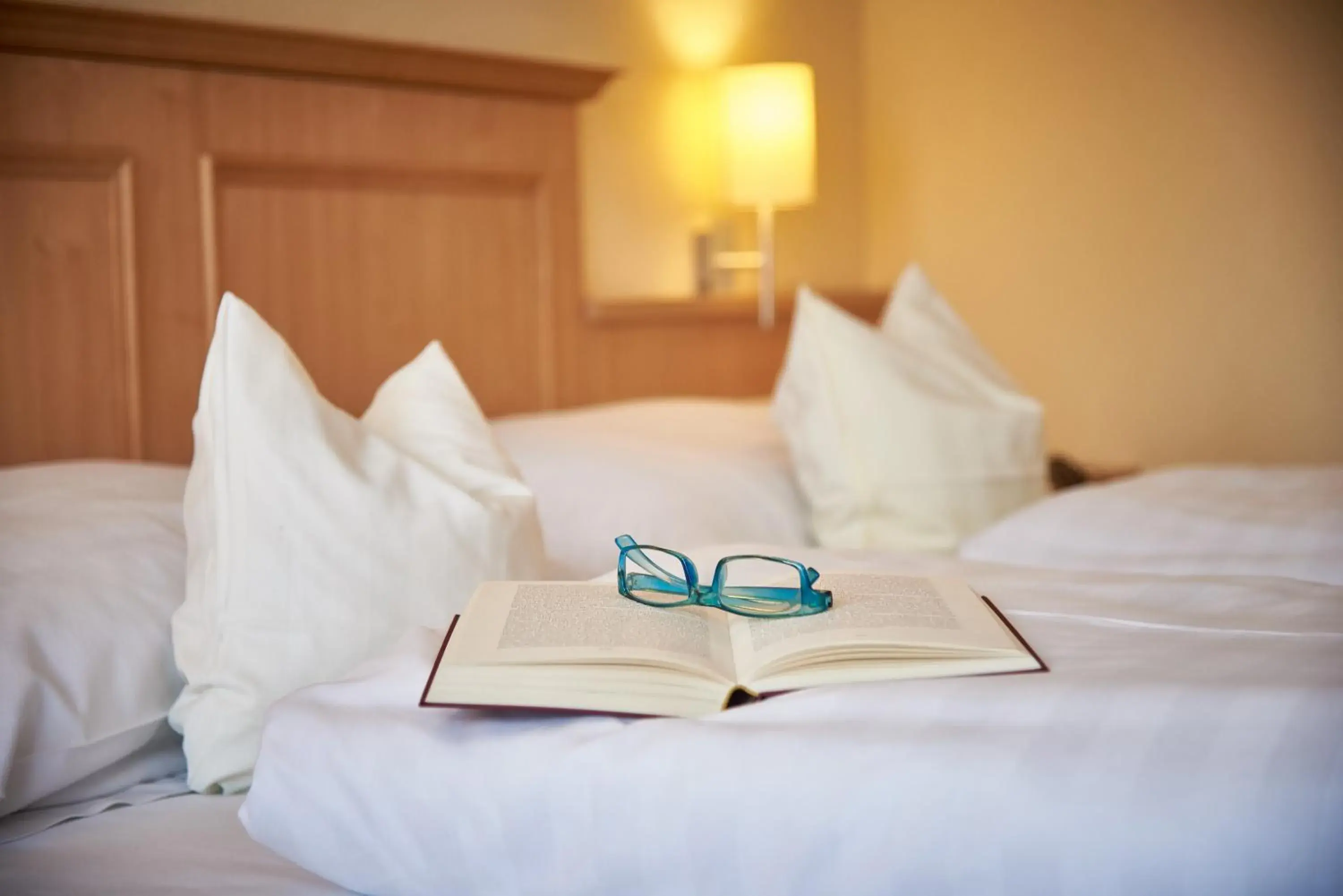 Double Room in Apparthotel Minerva Diana Octavia Double Room in Apparthotel Minerva Diana Octavia