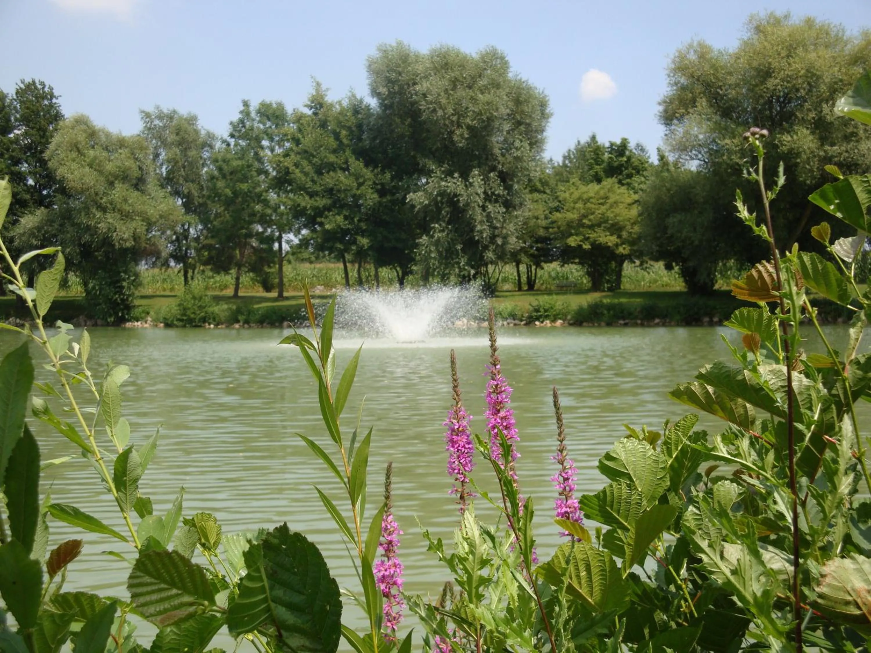 Area and facilities in Apparthotel Minerva Diana Octavia