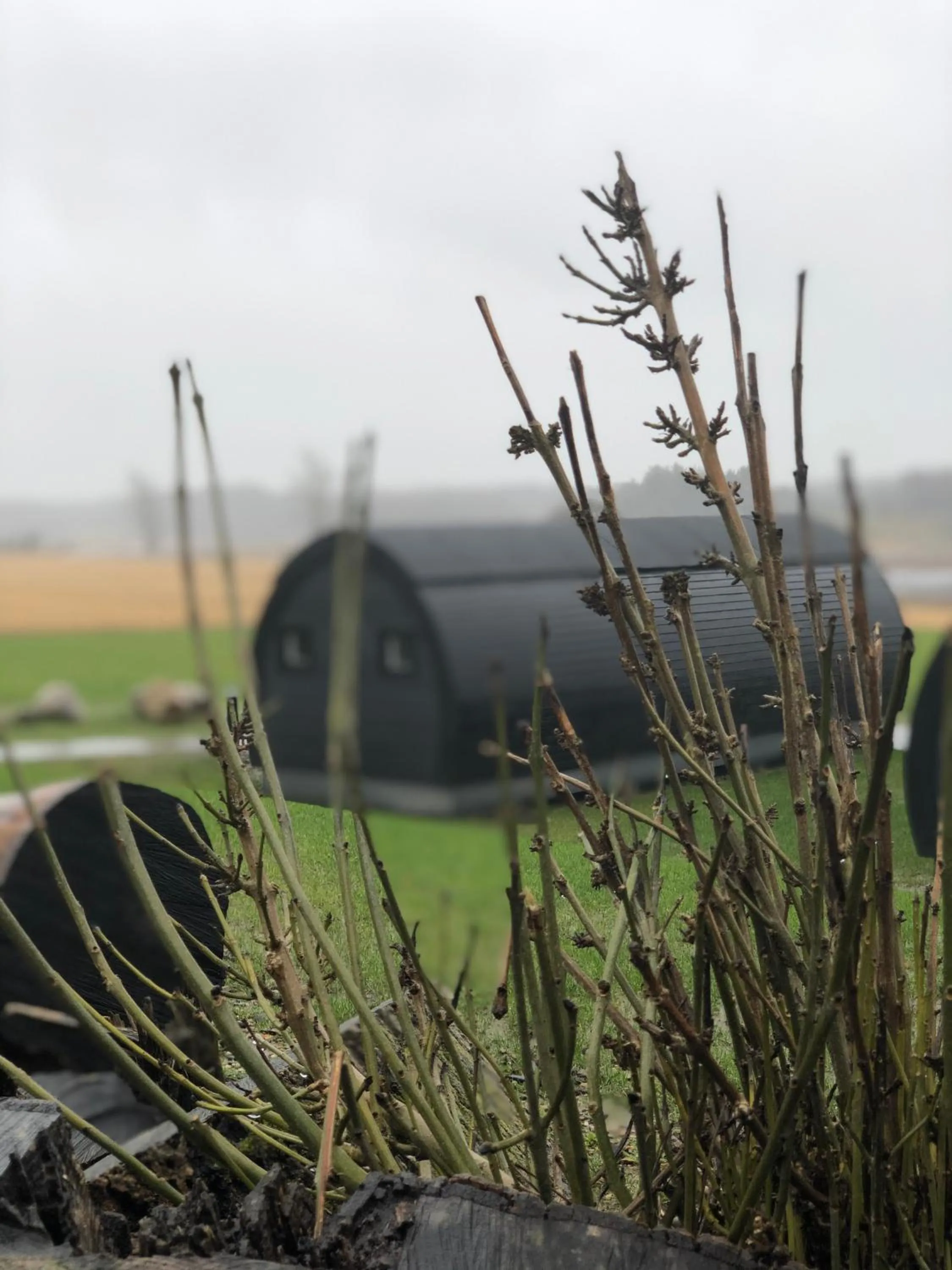 Natural landscape in Hodde Kro