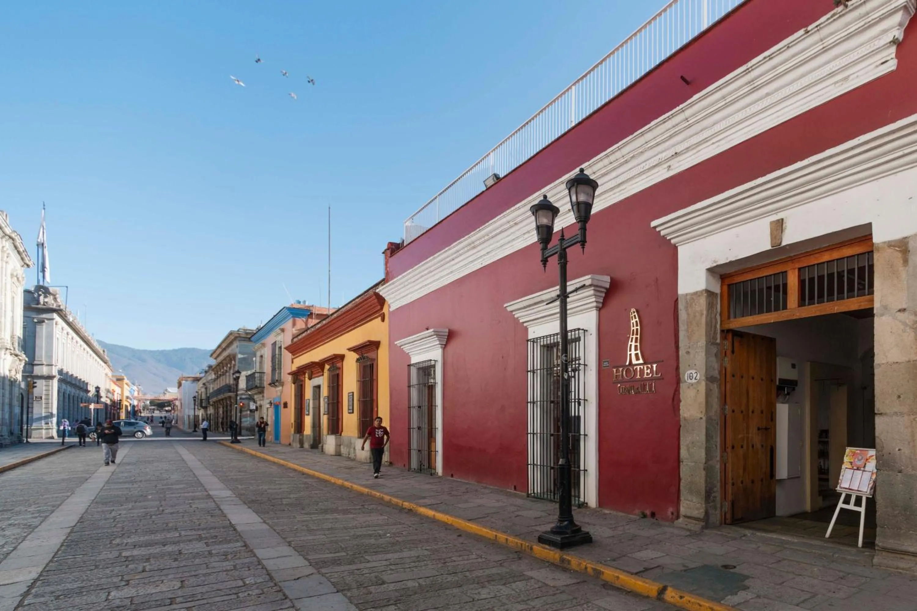 Property building in La Catrina de Alcala