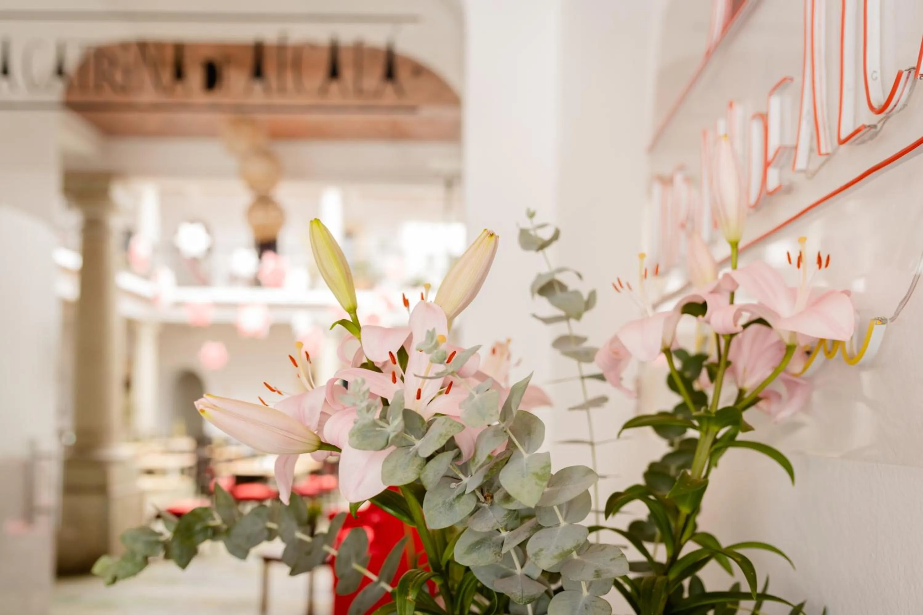 Property building in La Catrina de Alcala