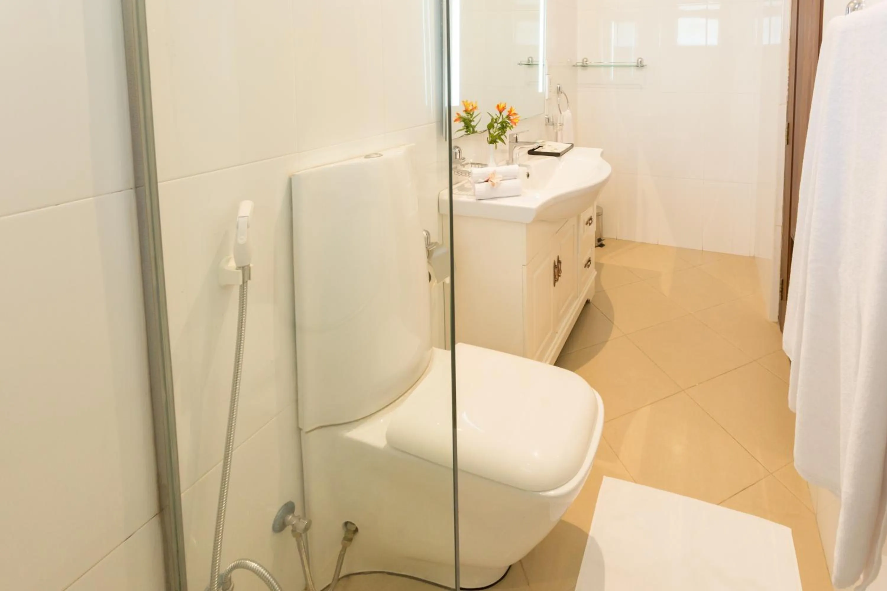 Toilet in Serene Kandy