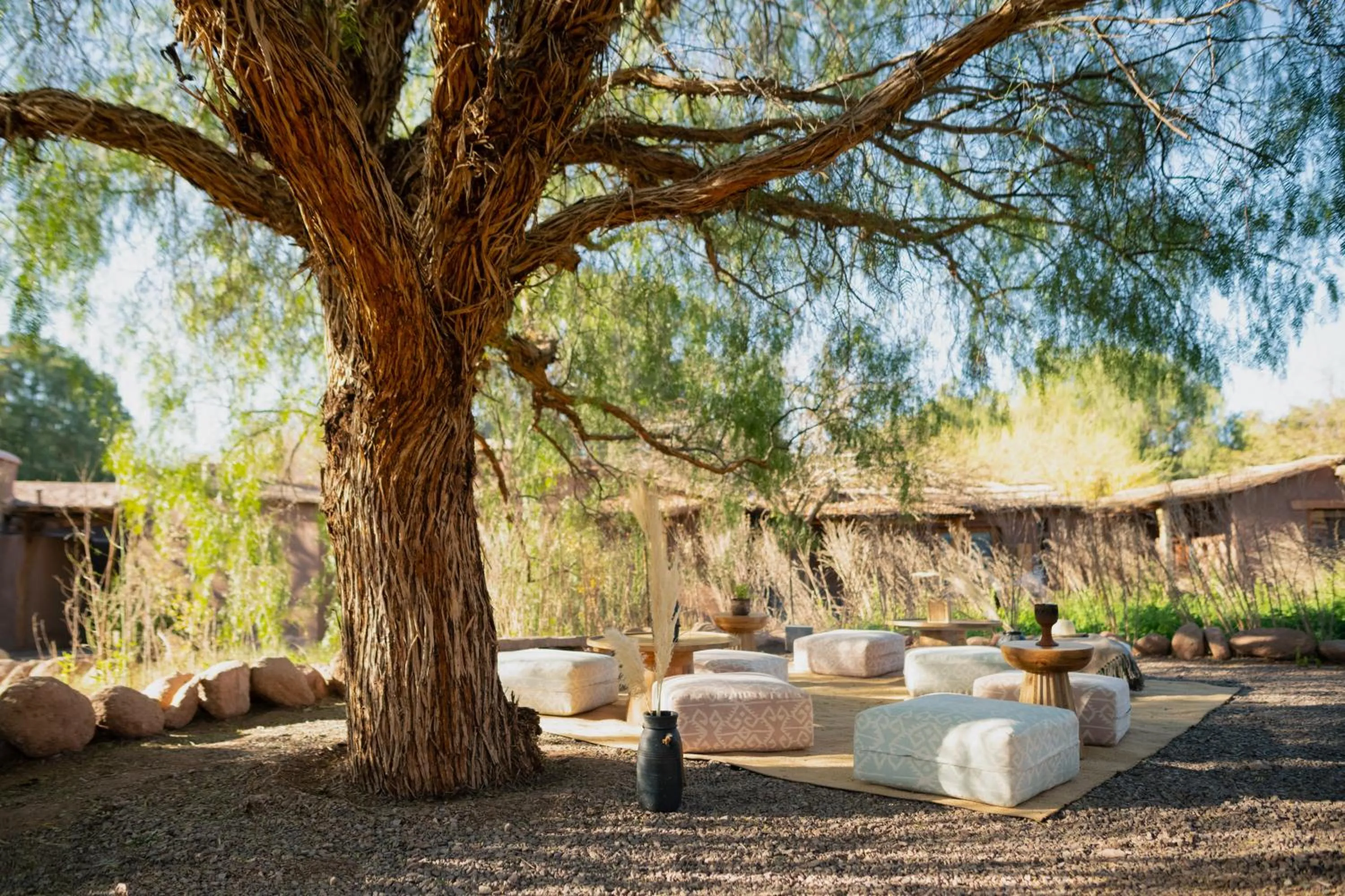 Natural landscape in Our Habitas Atacama