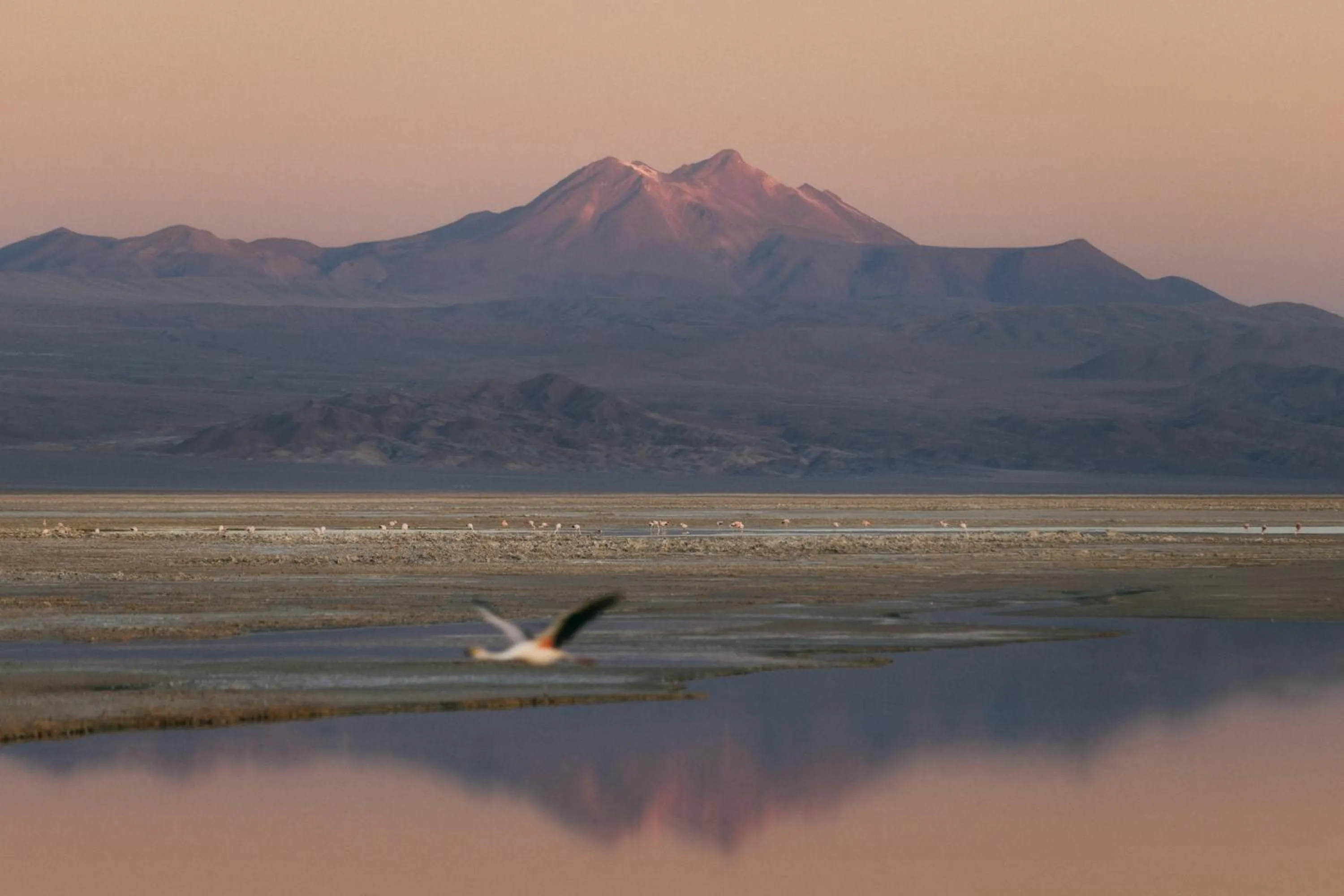 Nearby landmark in Our Habitas Atacama