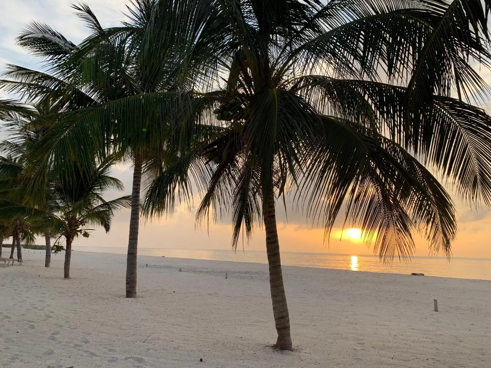 Beach in Life Resort St. Thomas Royal Palm