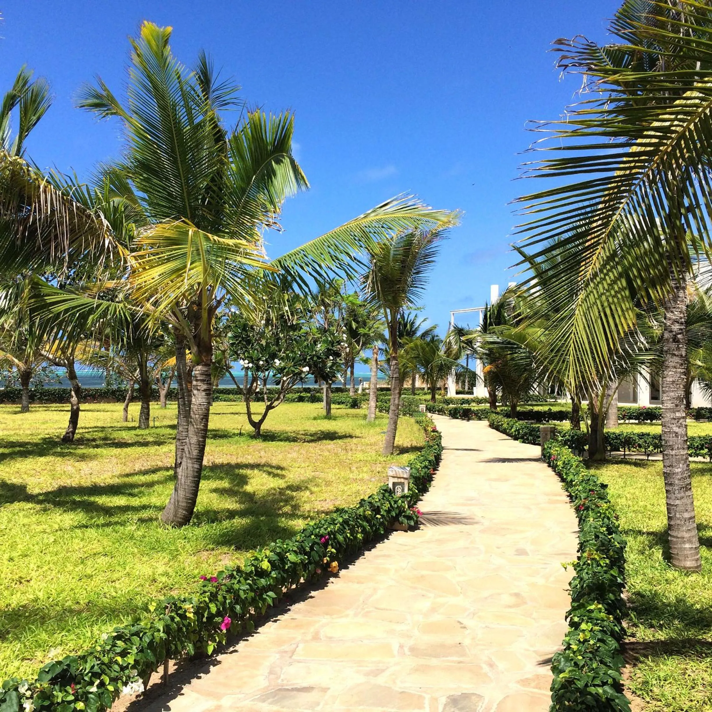 Garden in Life Resort St. Thomas Royal Palm