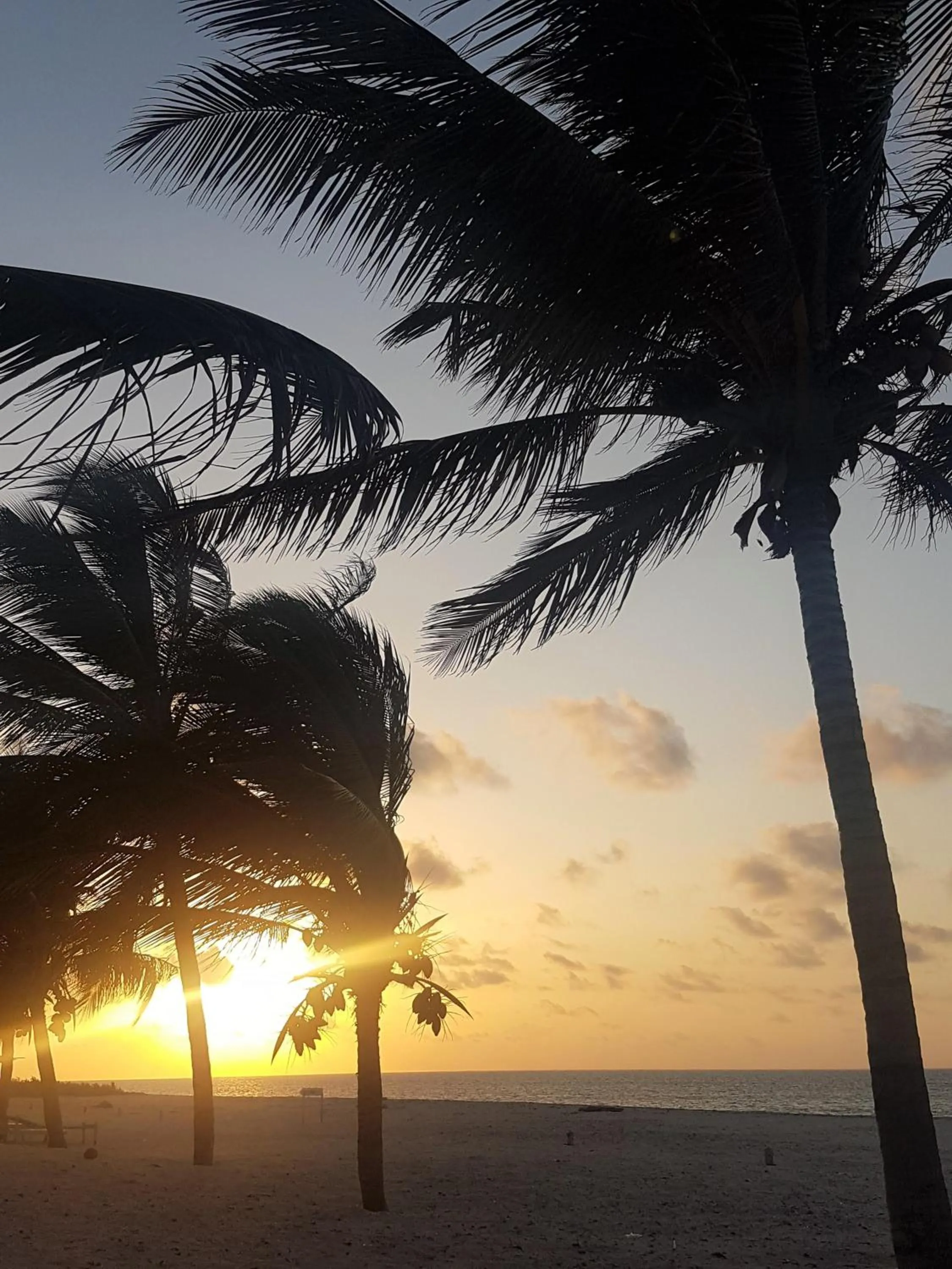 Natural landscape in Life Resort St. Thomas Royal Palm